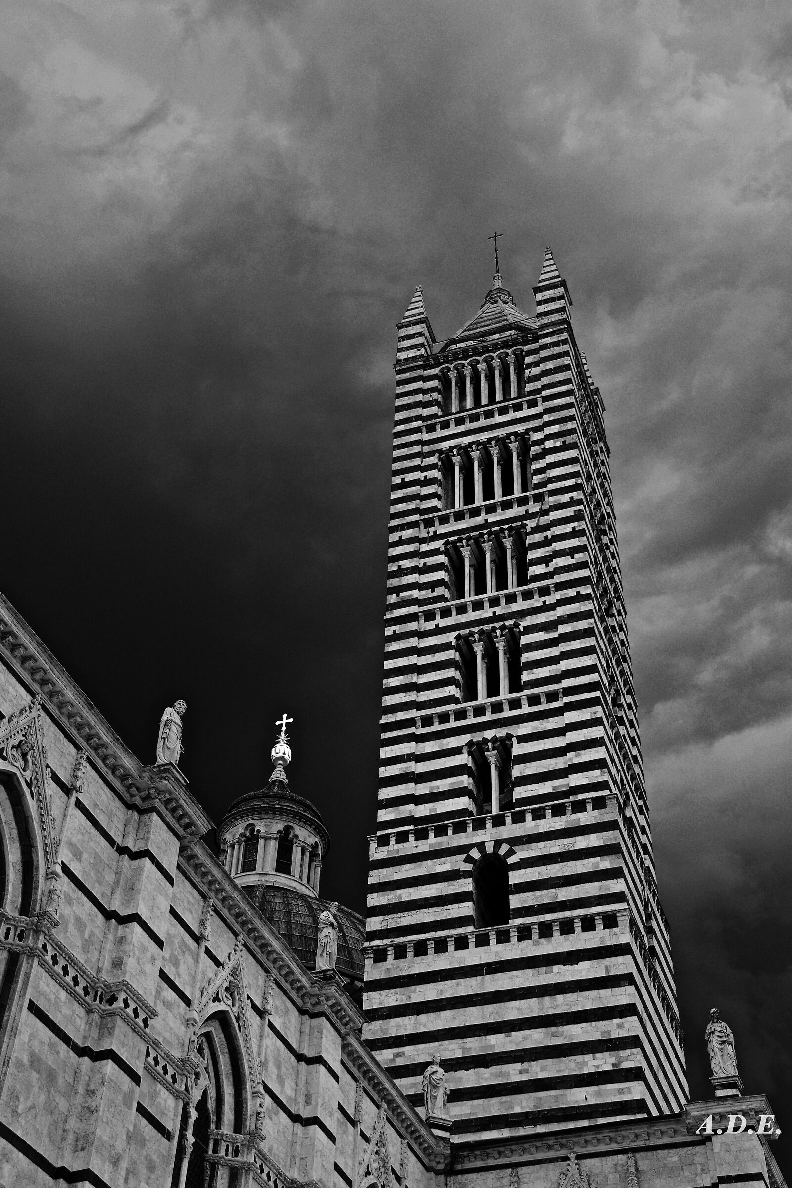 Campanile Duomo Siena