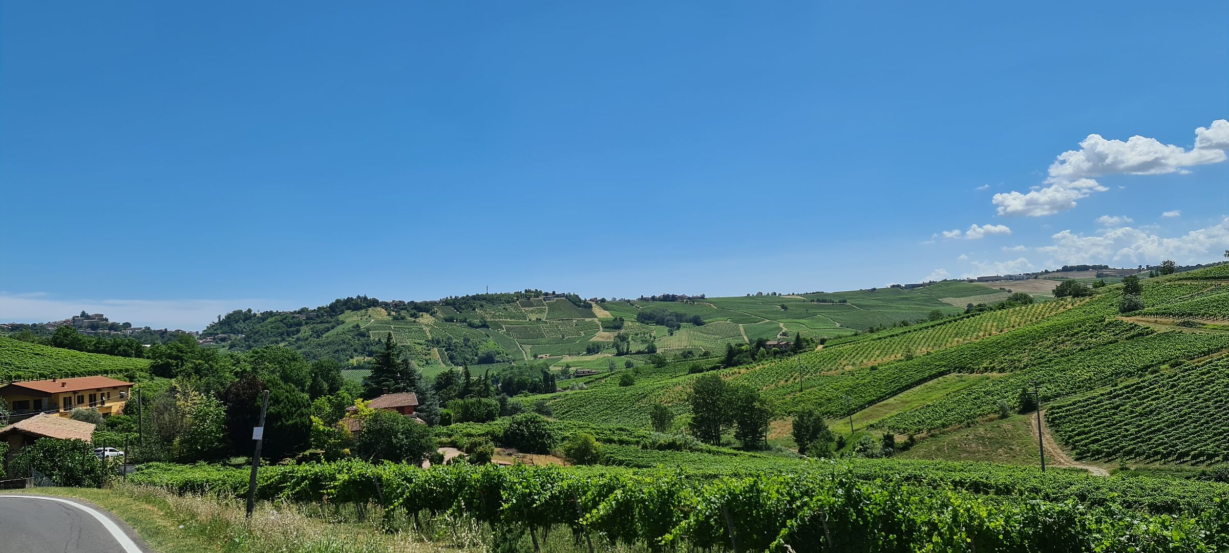 Vigneti oltrepo pavese