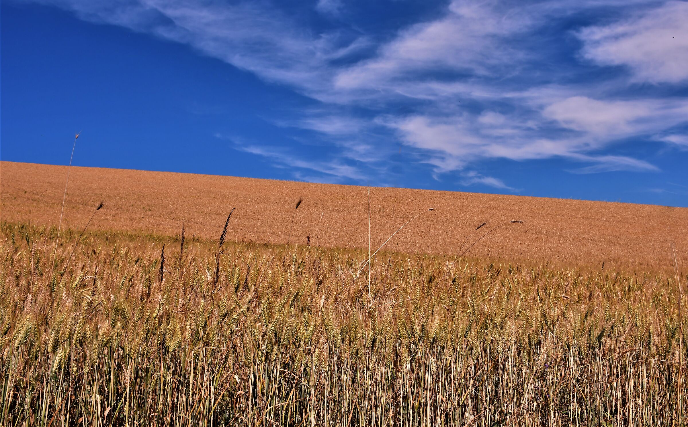 The scent of bread.............