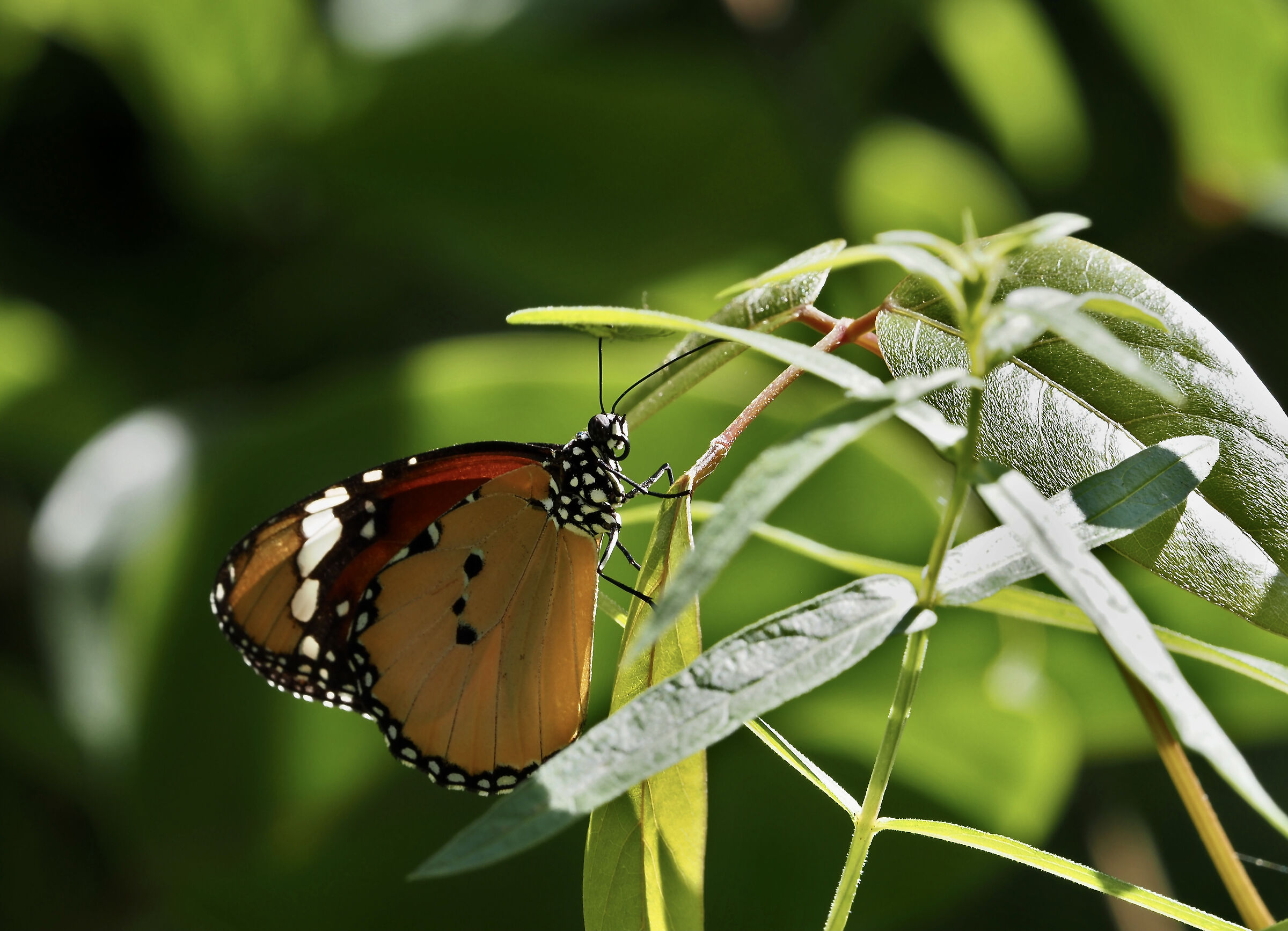 Untitled Photo