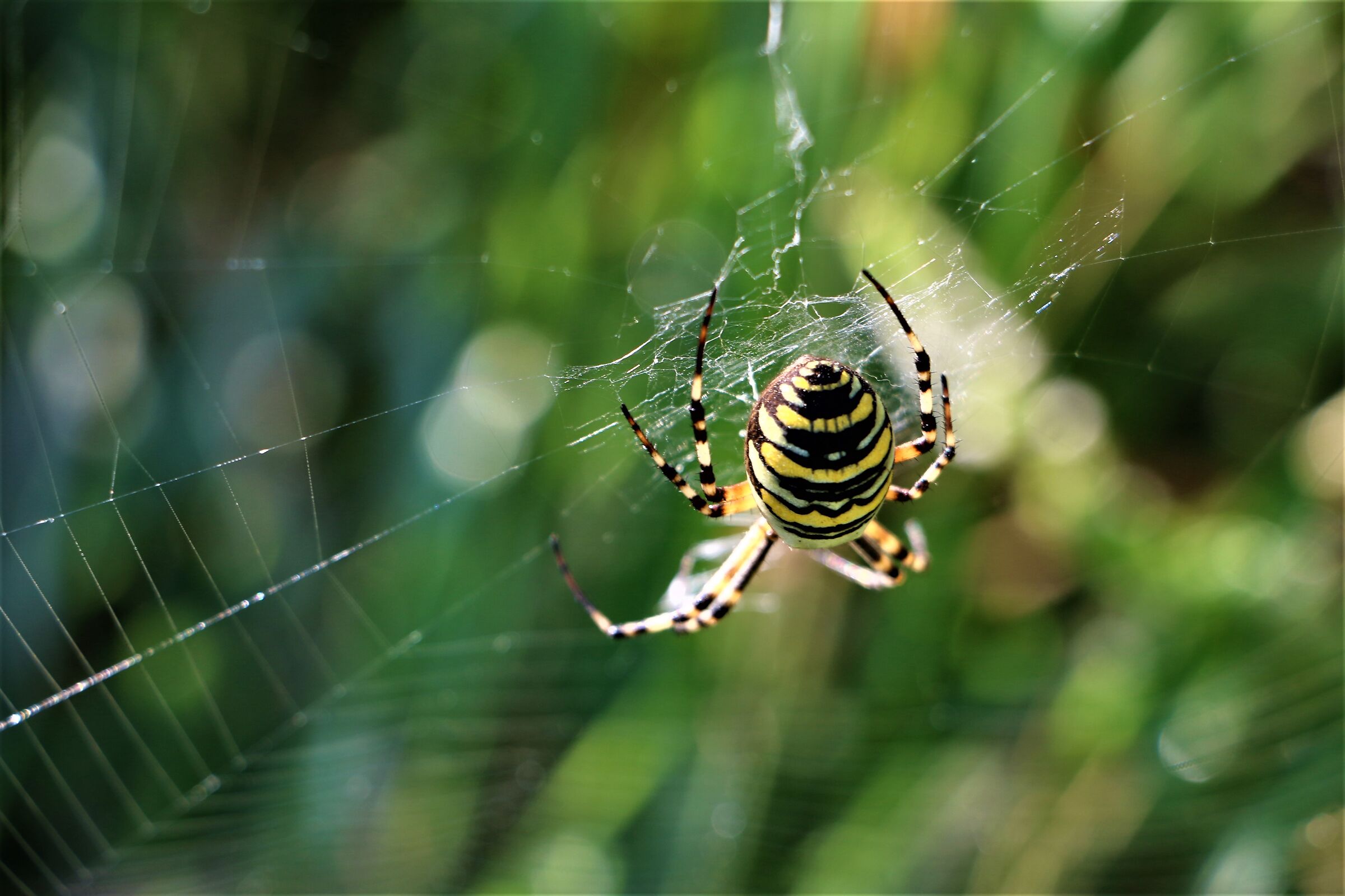 It's not like it looks