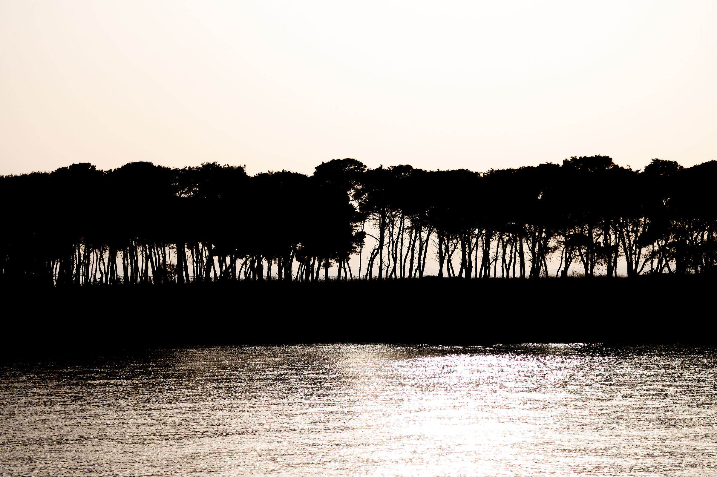 Saint Peter Dusk