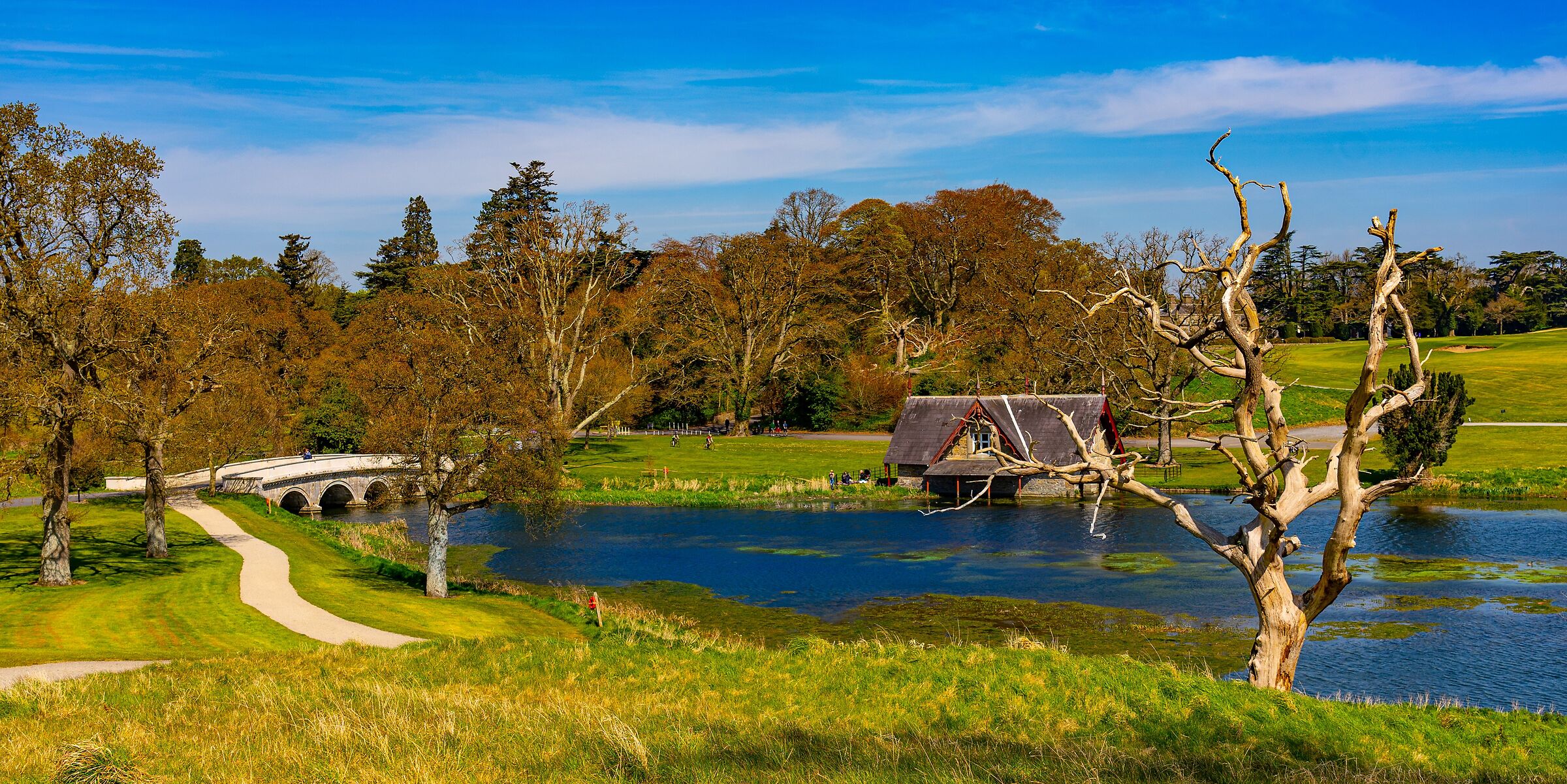 Carlton House, Maynooth (Irlanda)