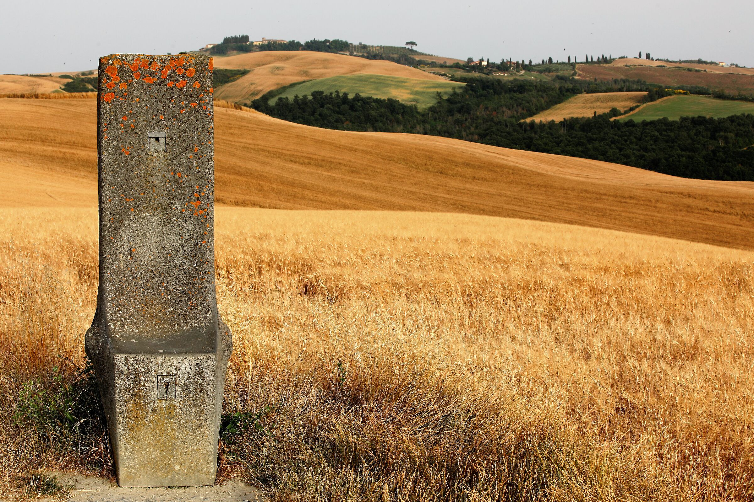 a panoramic session.......