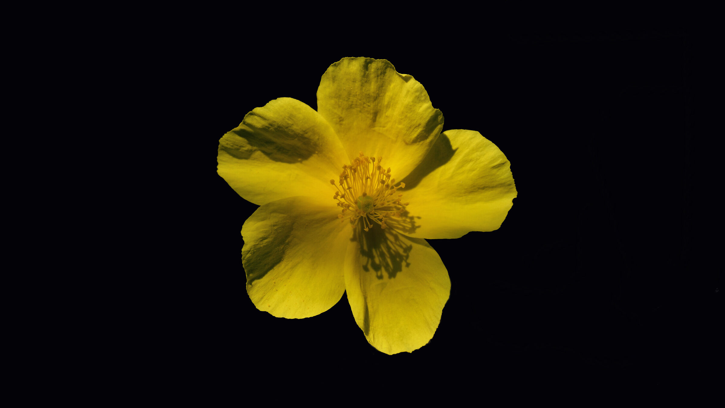 By yellow dress