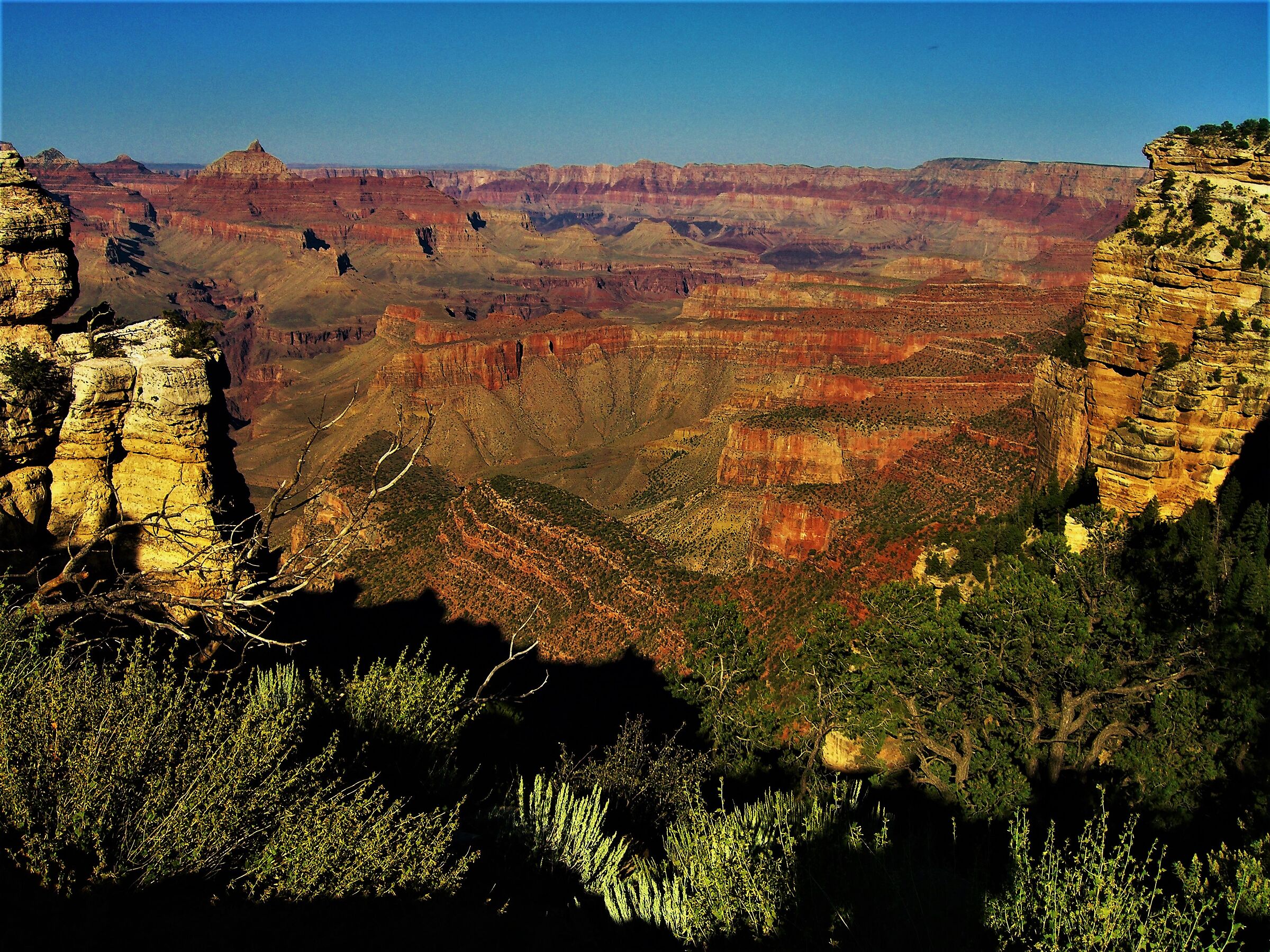 grand canyon