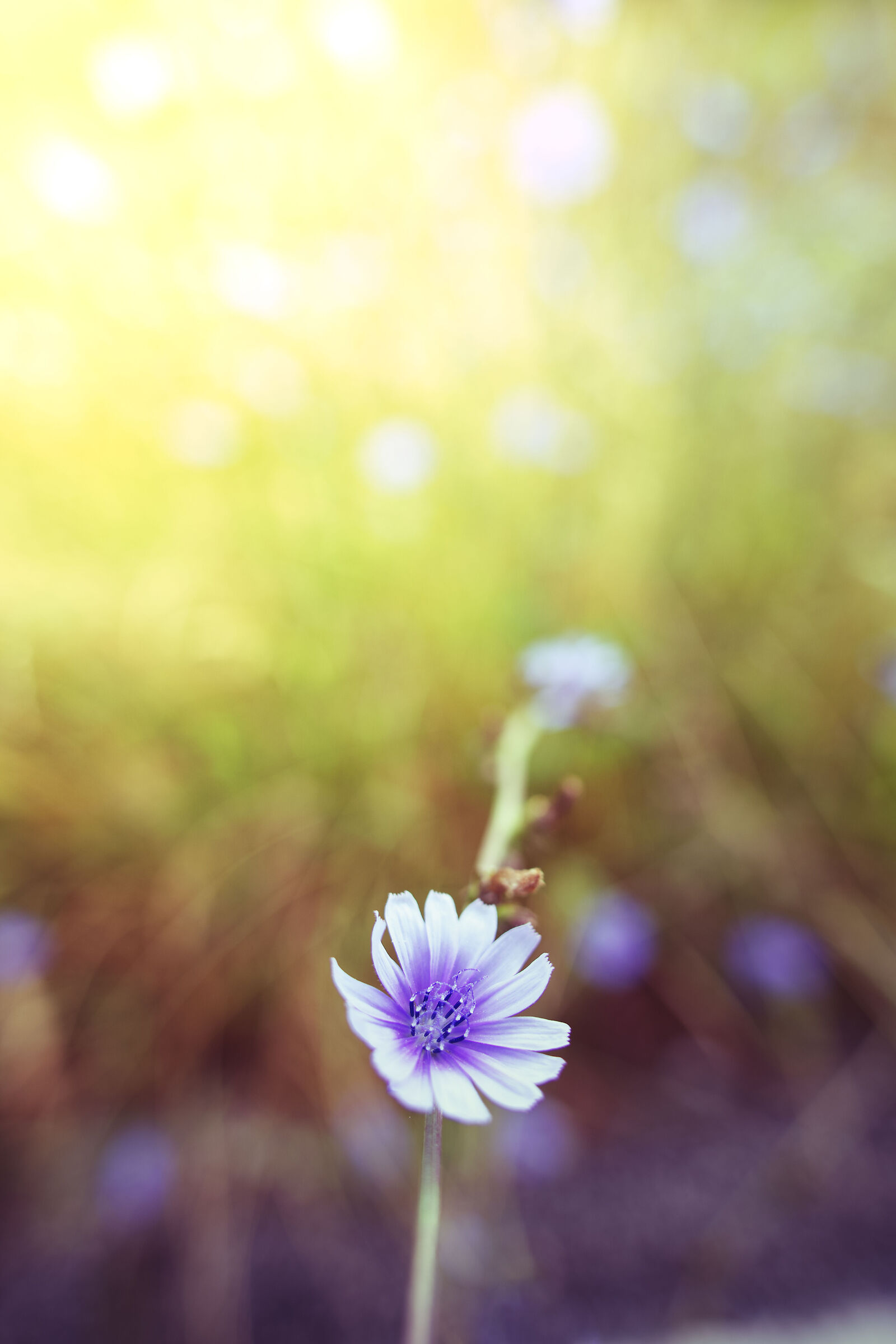 Untitled Photo