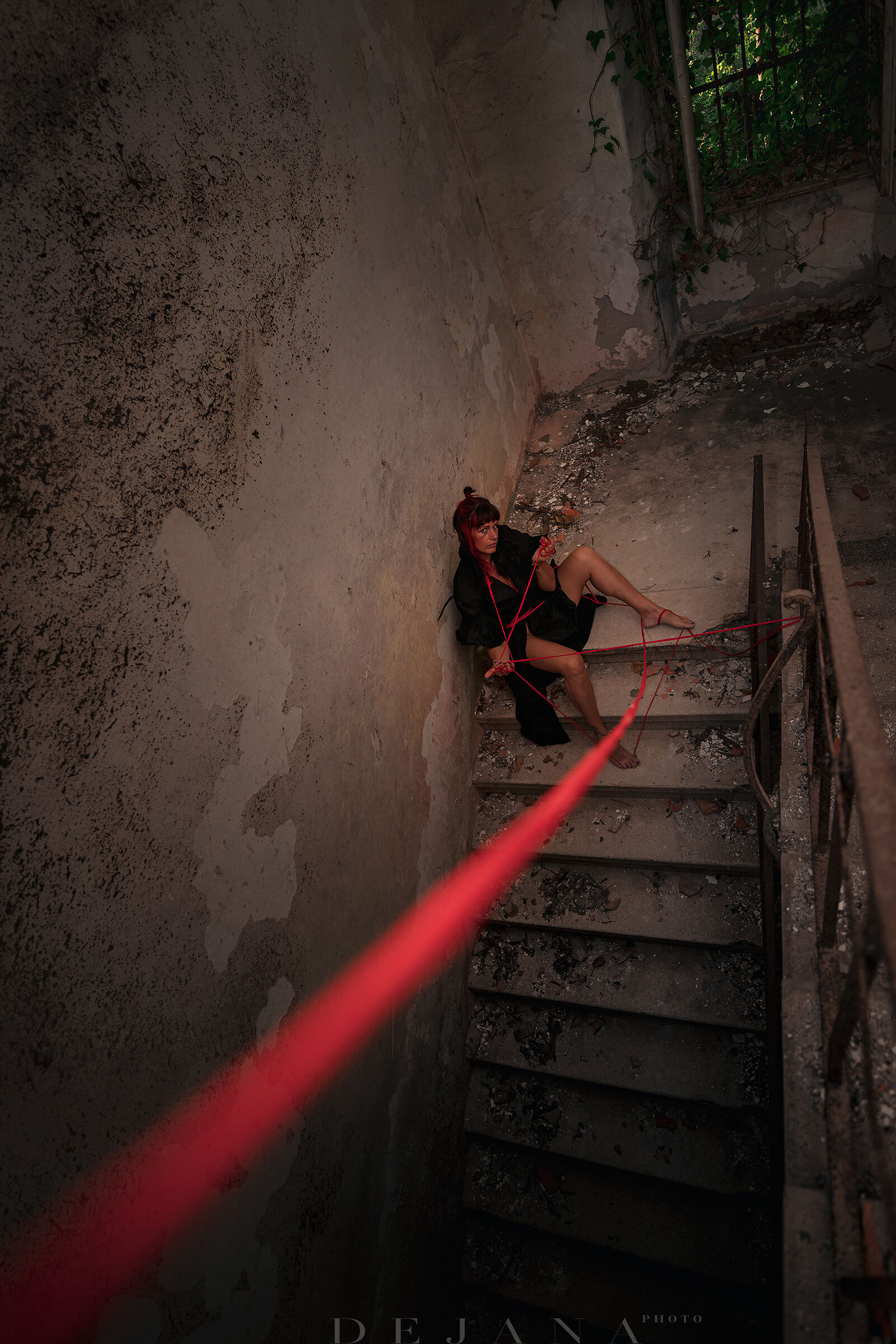 The Circle of Life I