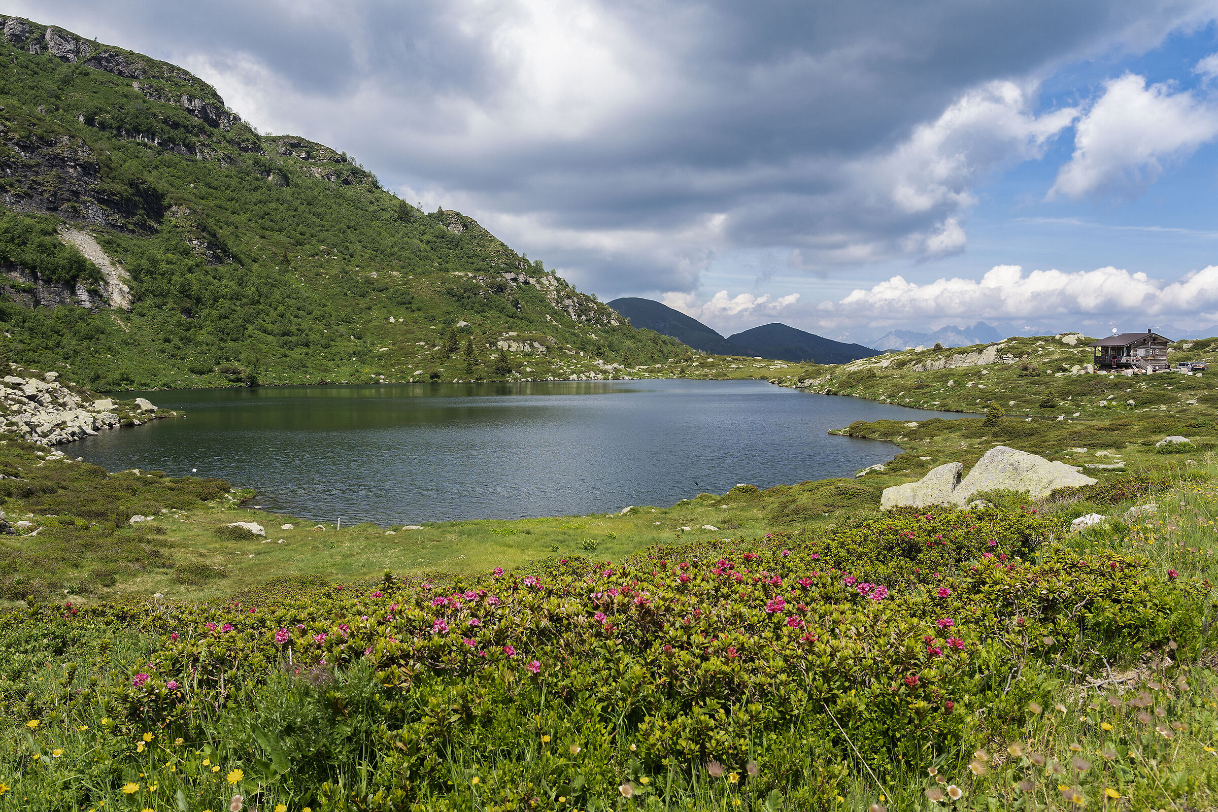 La baita fra i rododendri