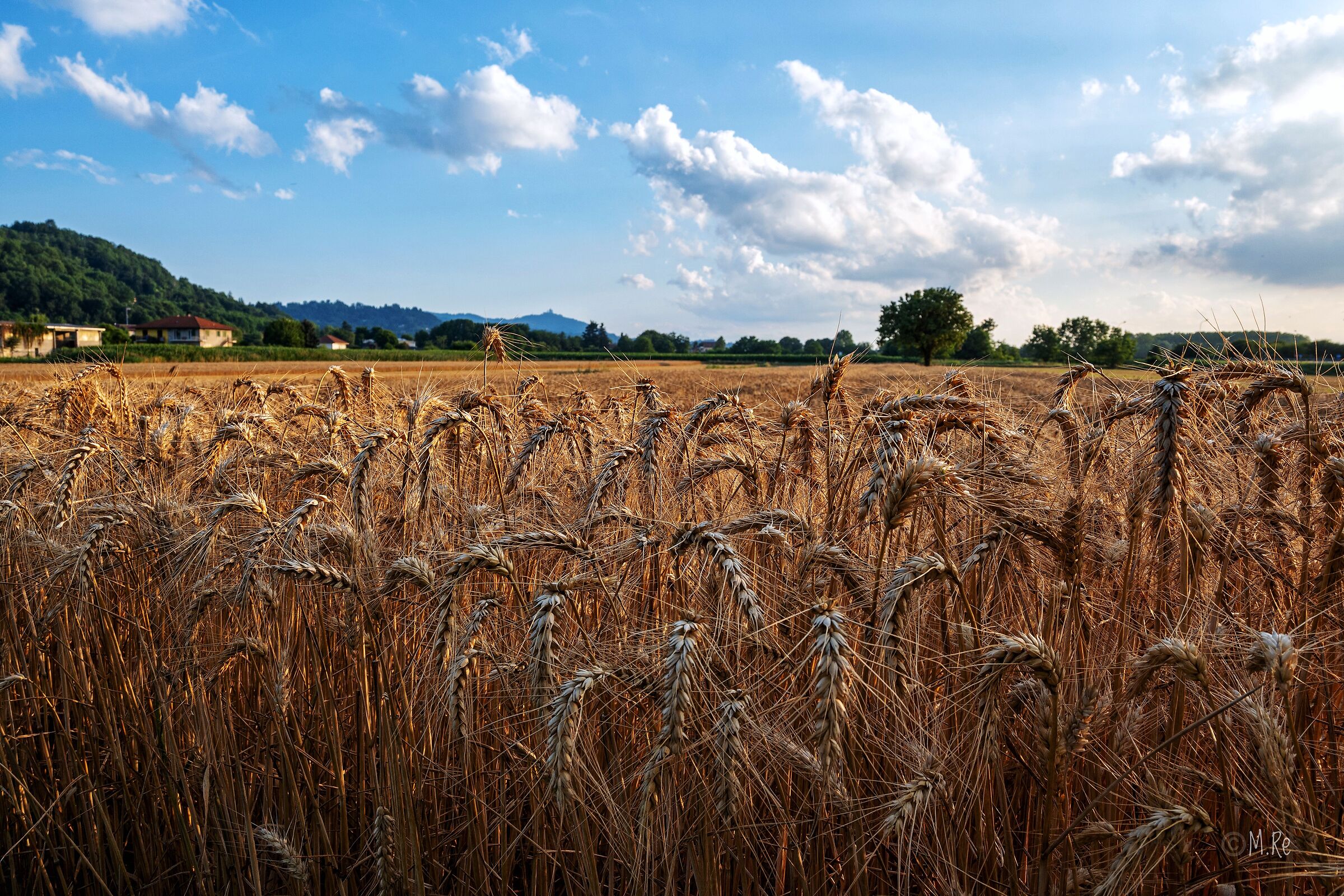 Campi a San Raffaele Cimena