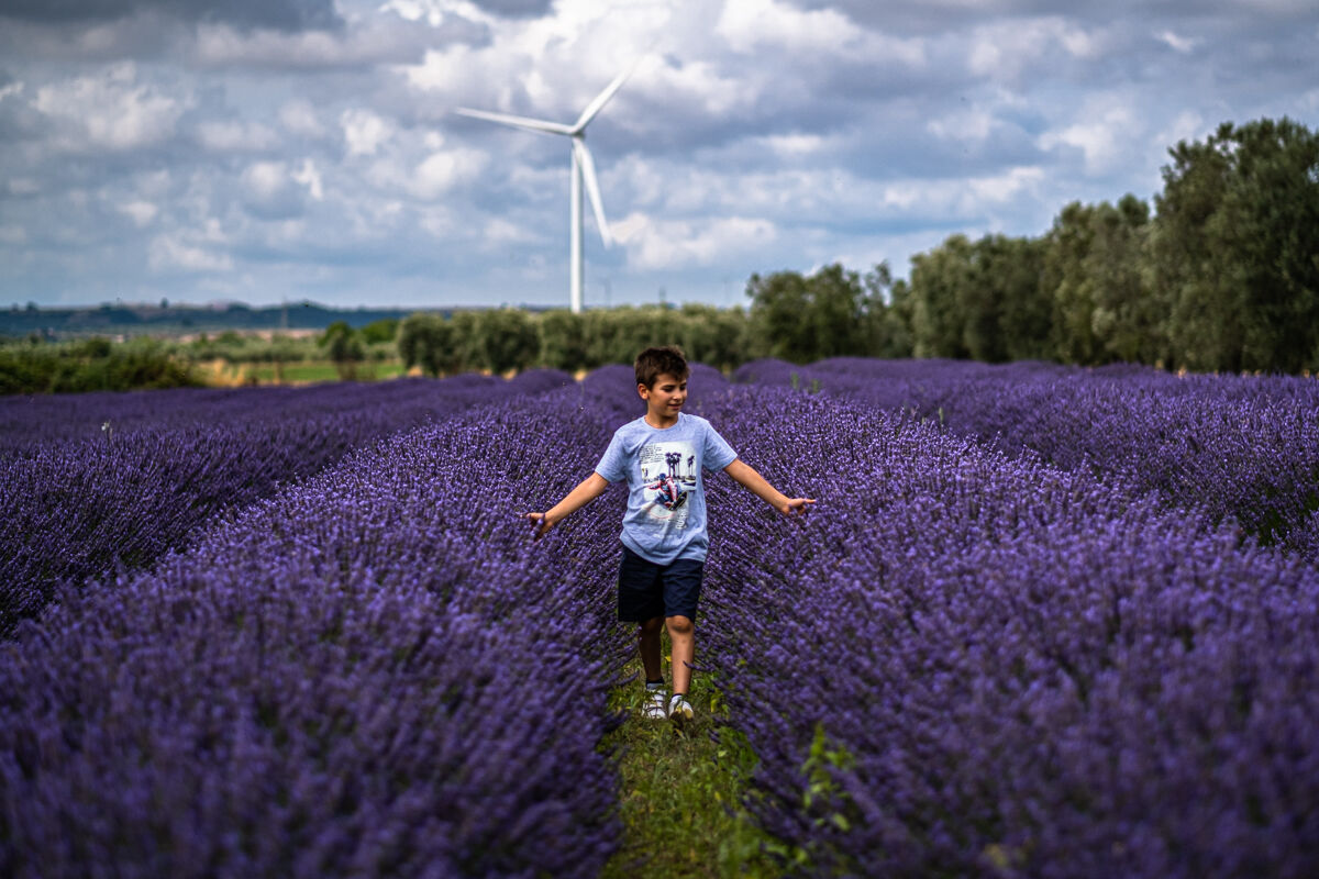 Lavender, Nderänder