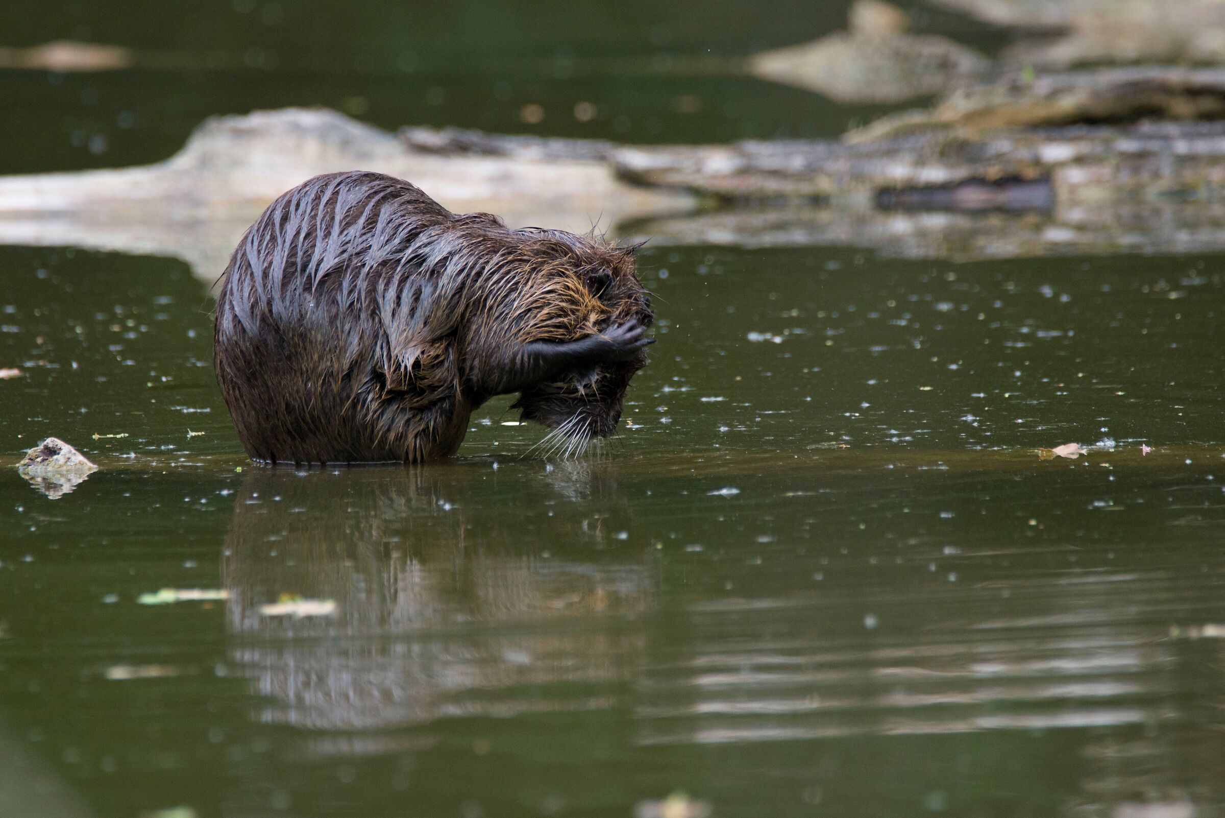 Every Monday morning!