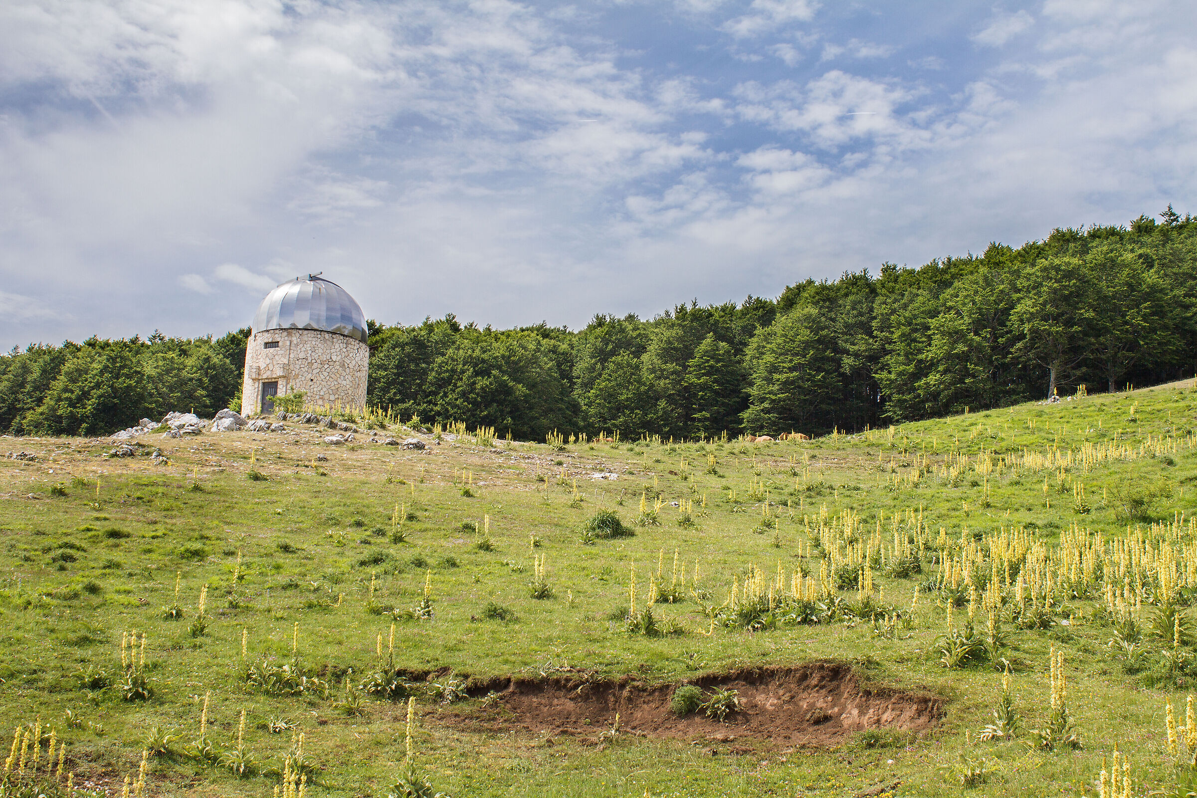 Osservatorio Campo dell' Osso livata