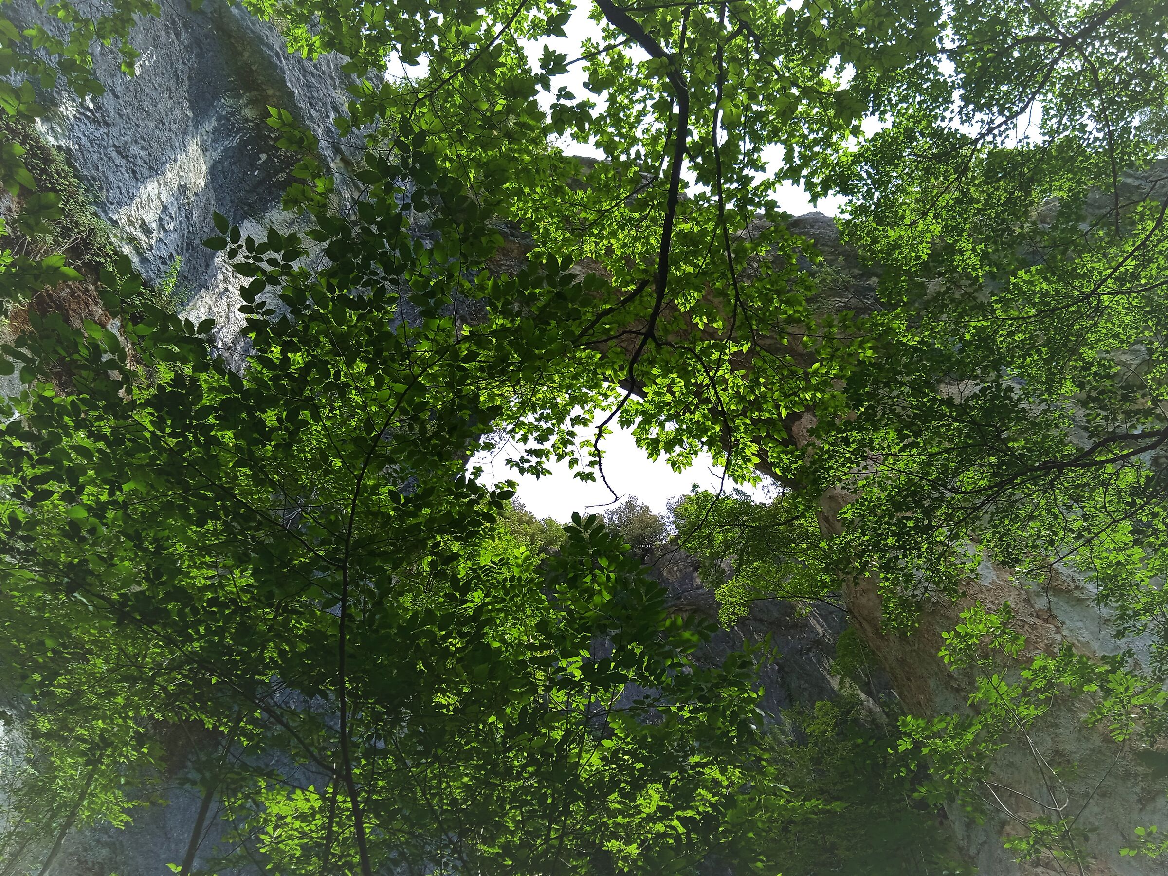 arco naturale fondarca