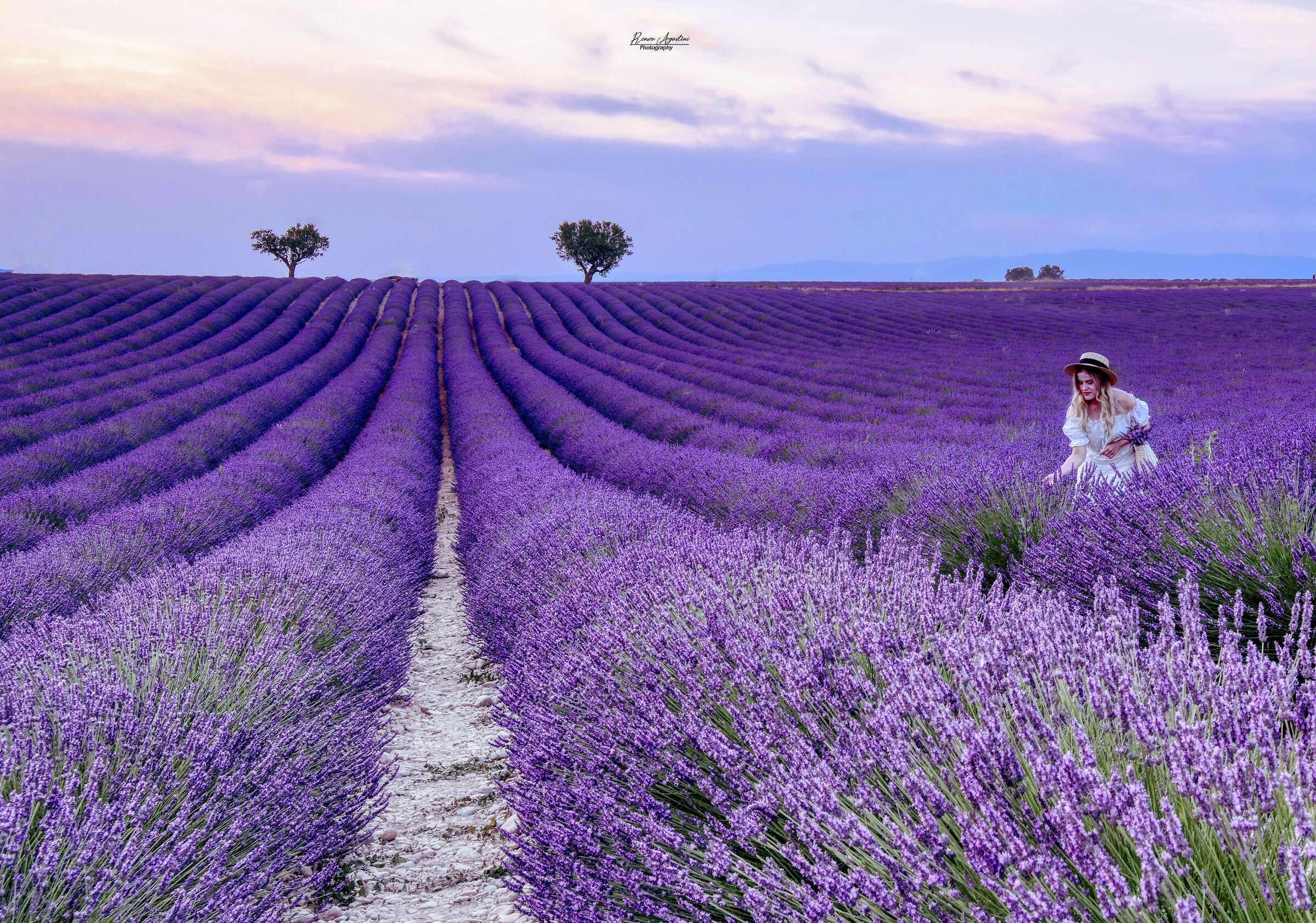 Voglia di.....lavanda.
