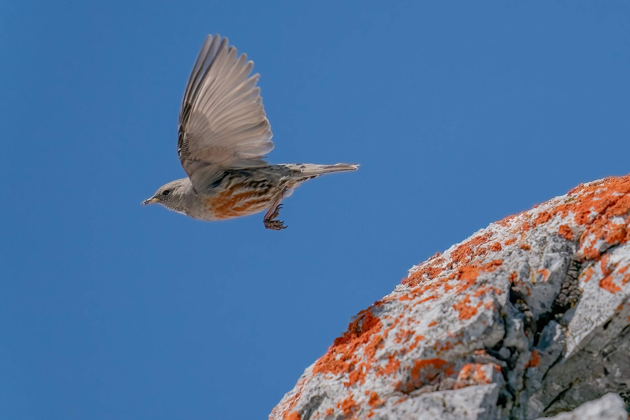 the involution of the flyover