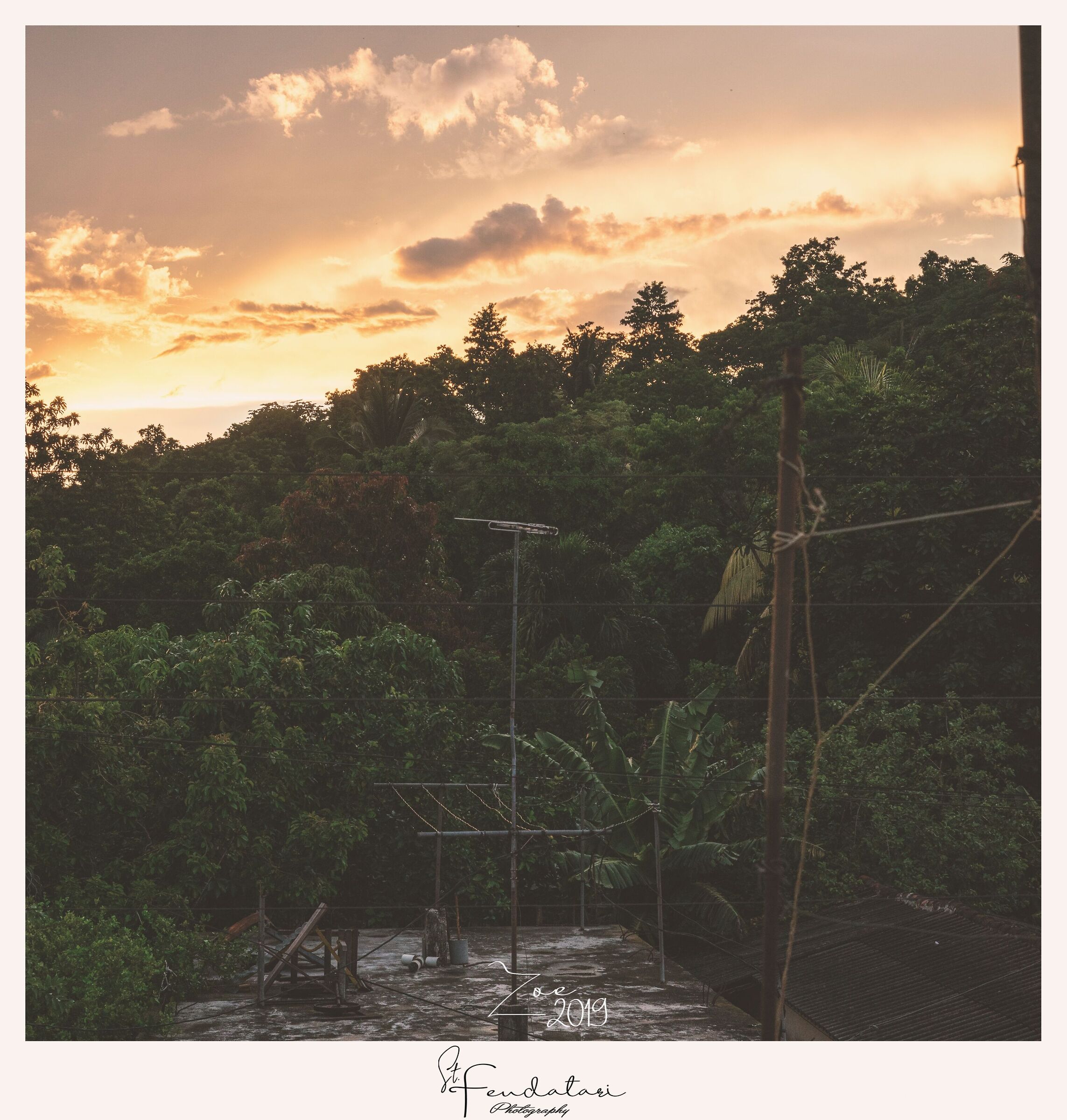 Zoe Series - Sunset from Home