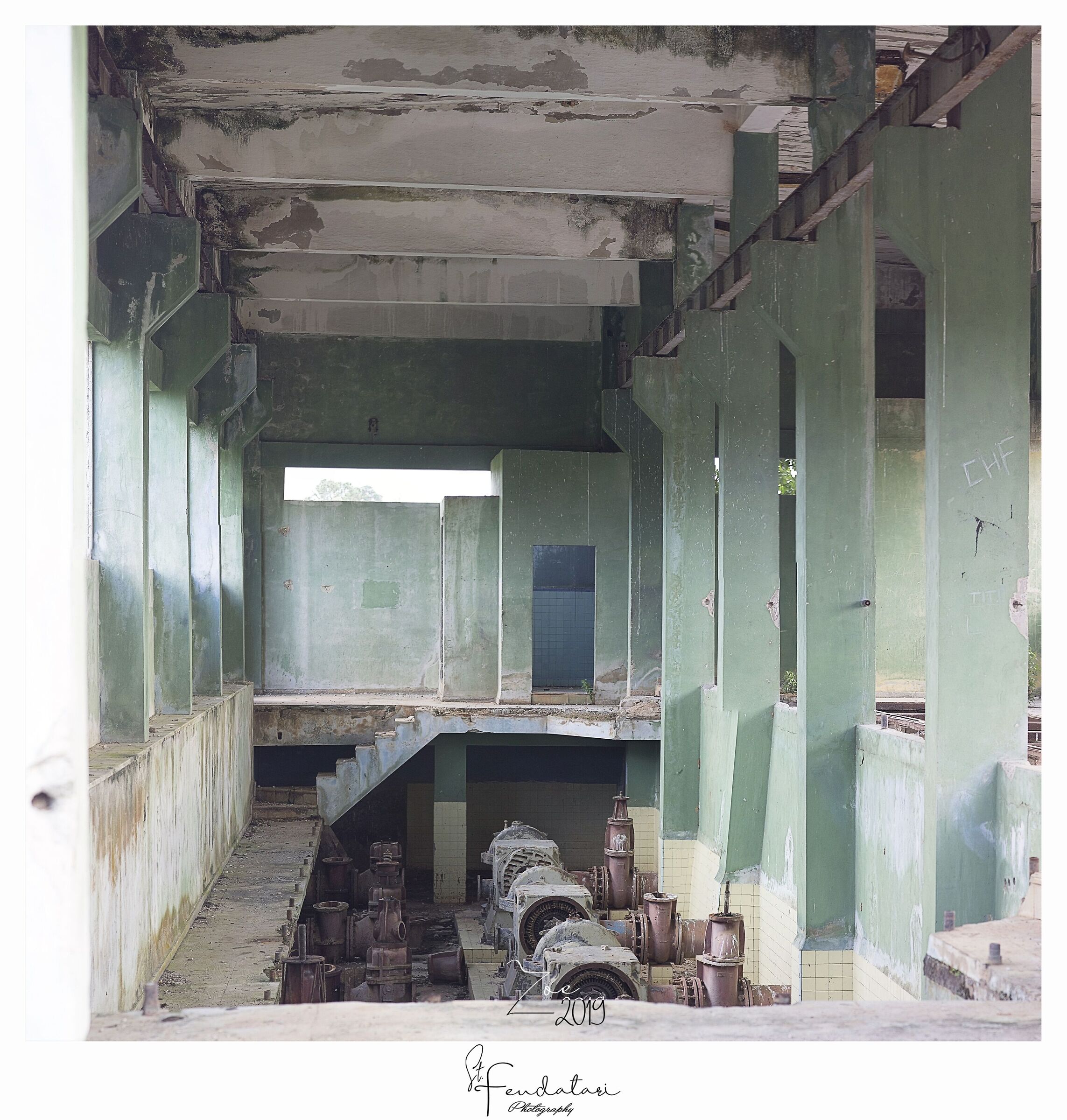 Zoe Series - Abandonment