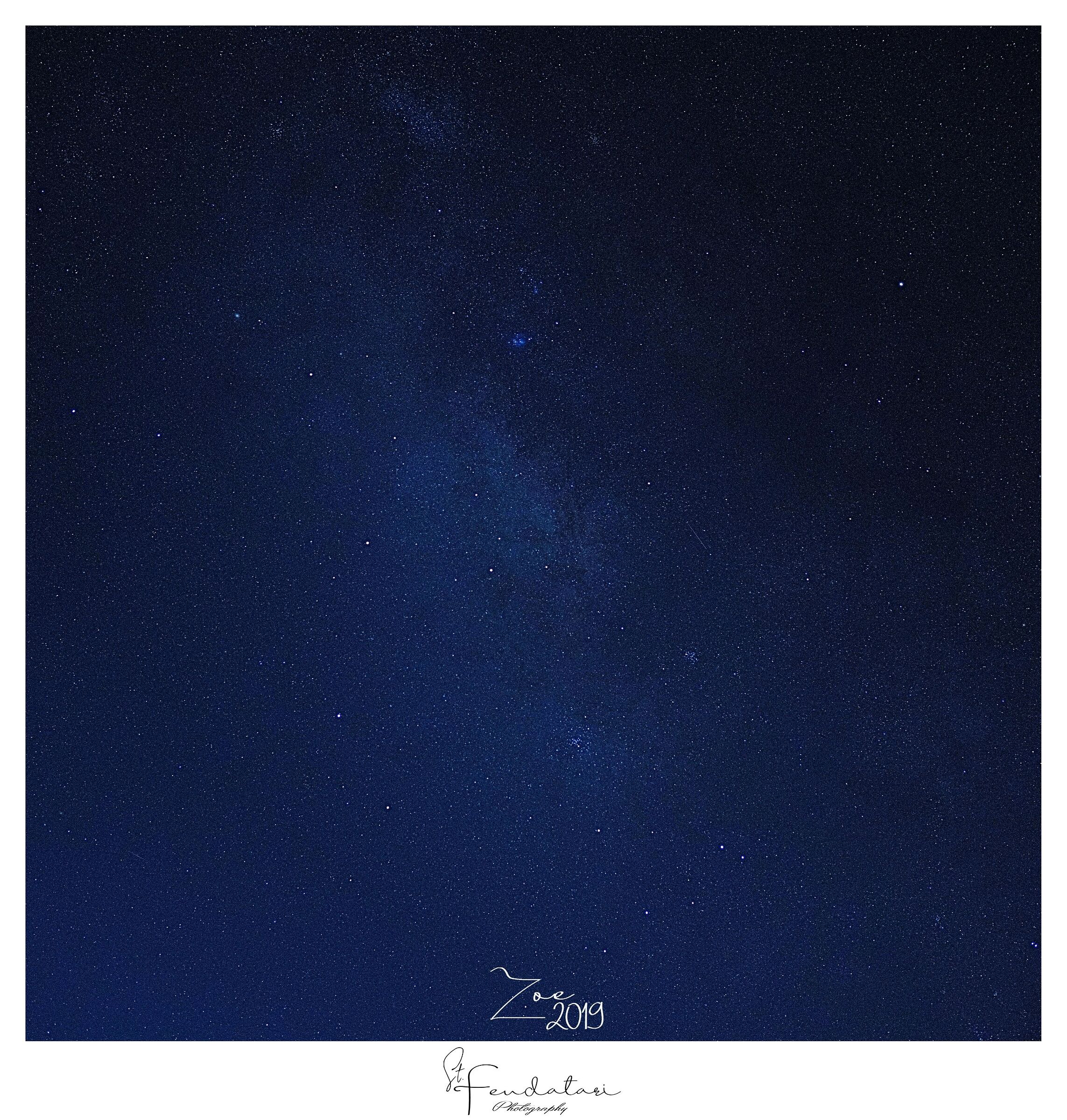 Zoe Series - Nose Up