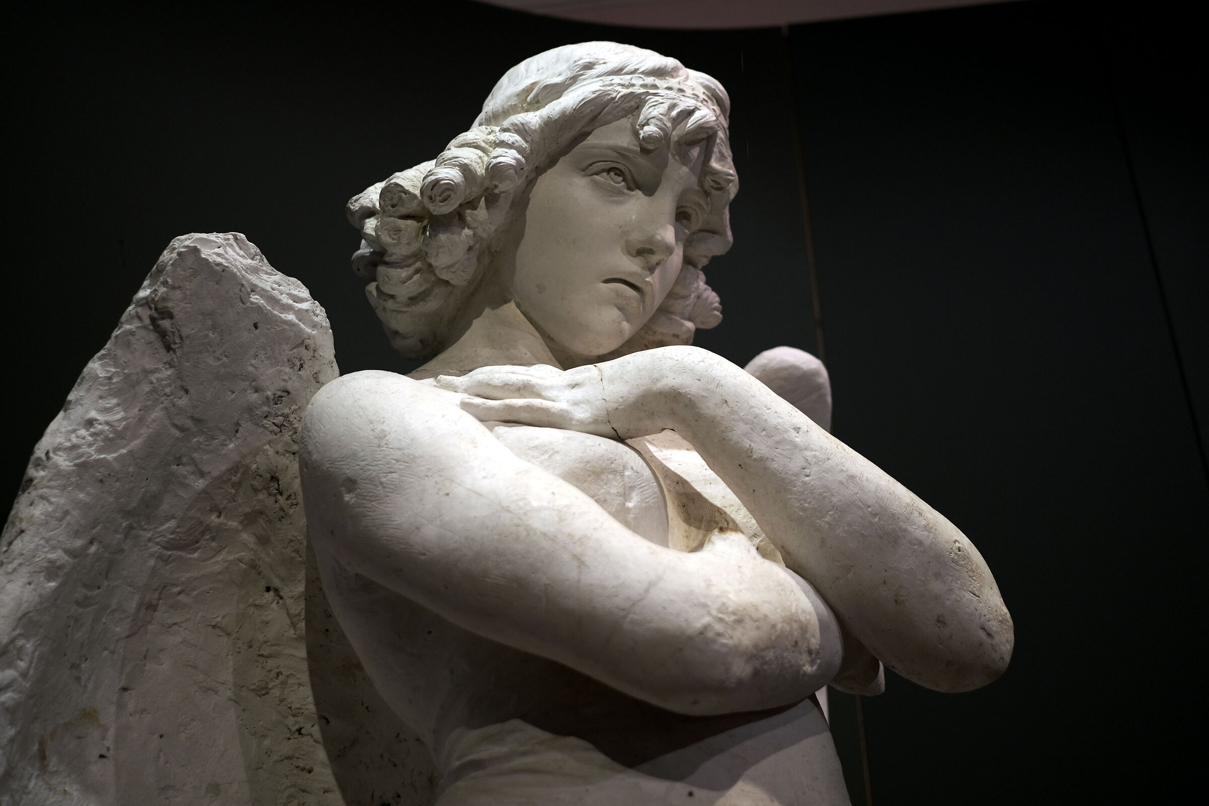 omaggio a Monteverde