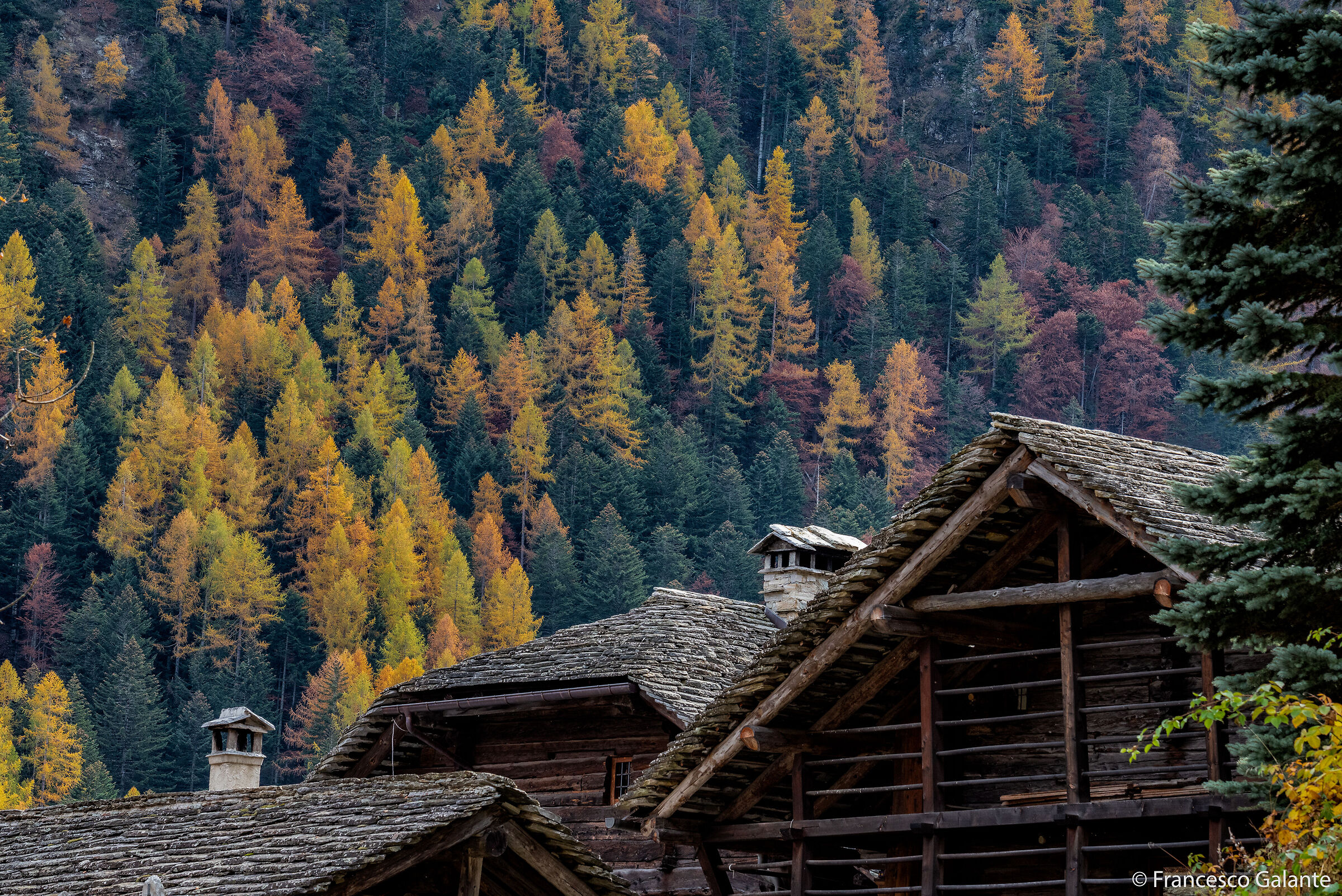 Val Vogna - Alpe Larecchio 1