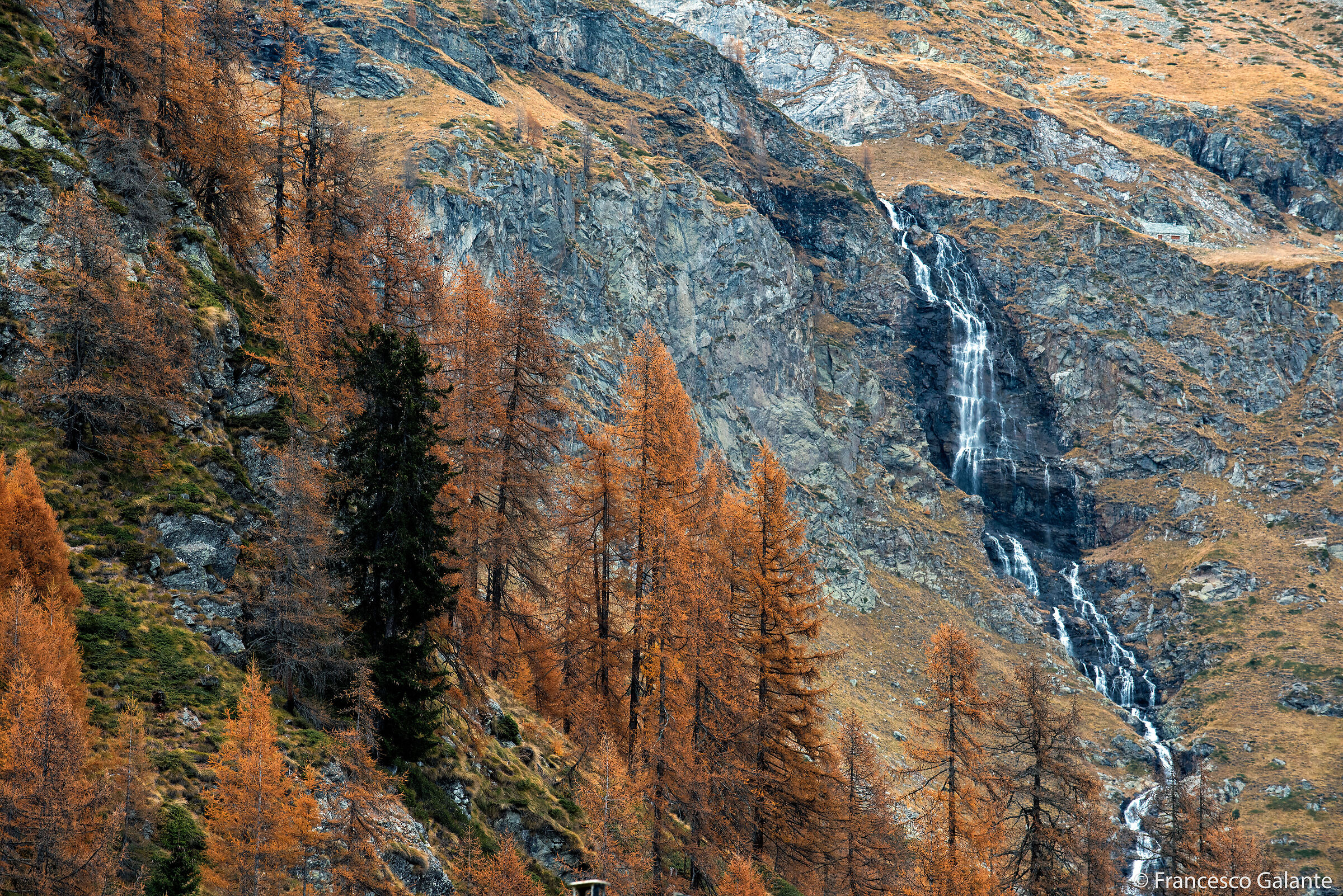 Val Vogna - Alpe Larecchio 14