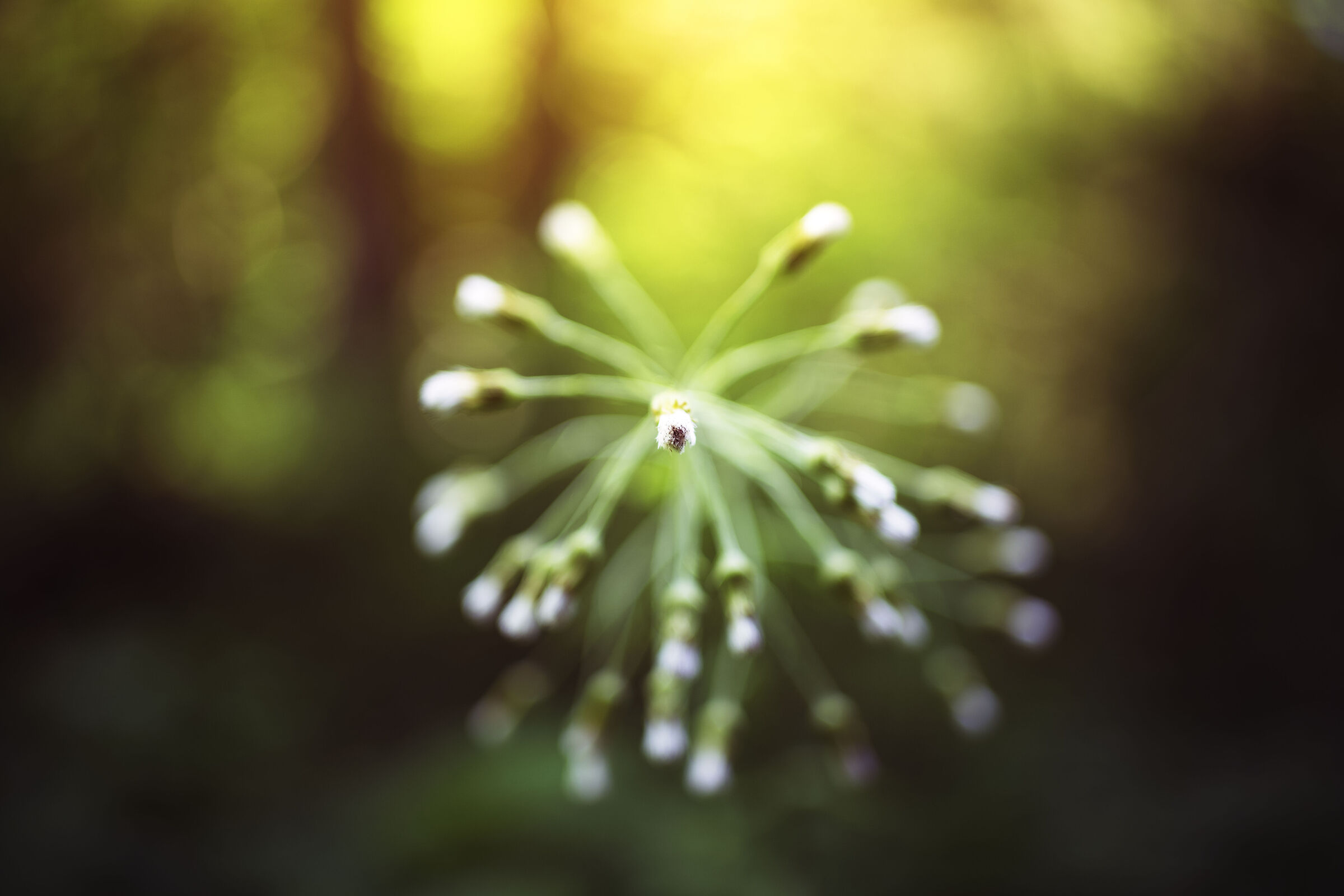 Untitled Photo