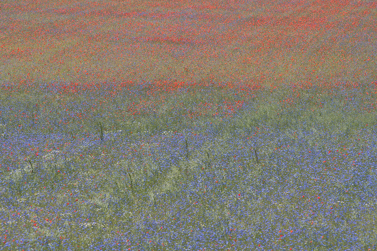 Castelluccio di Norcia