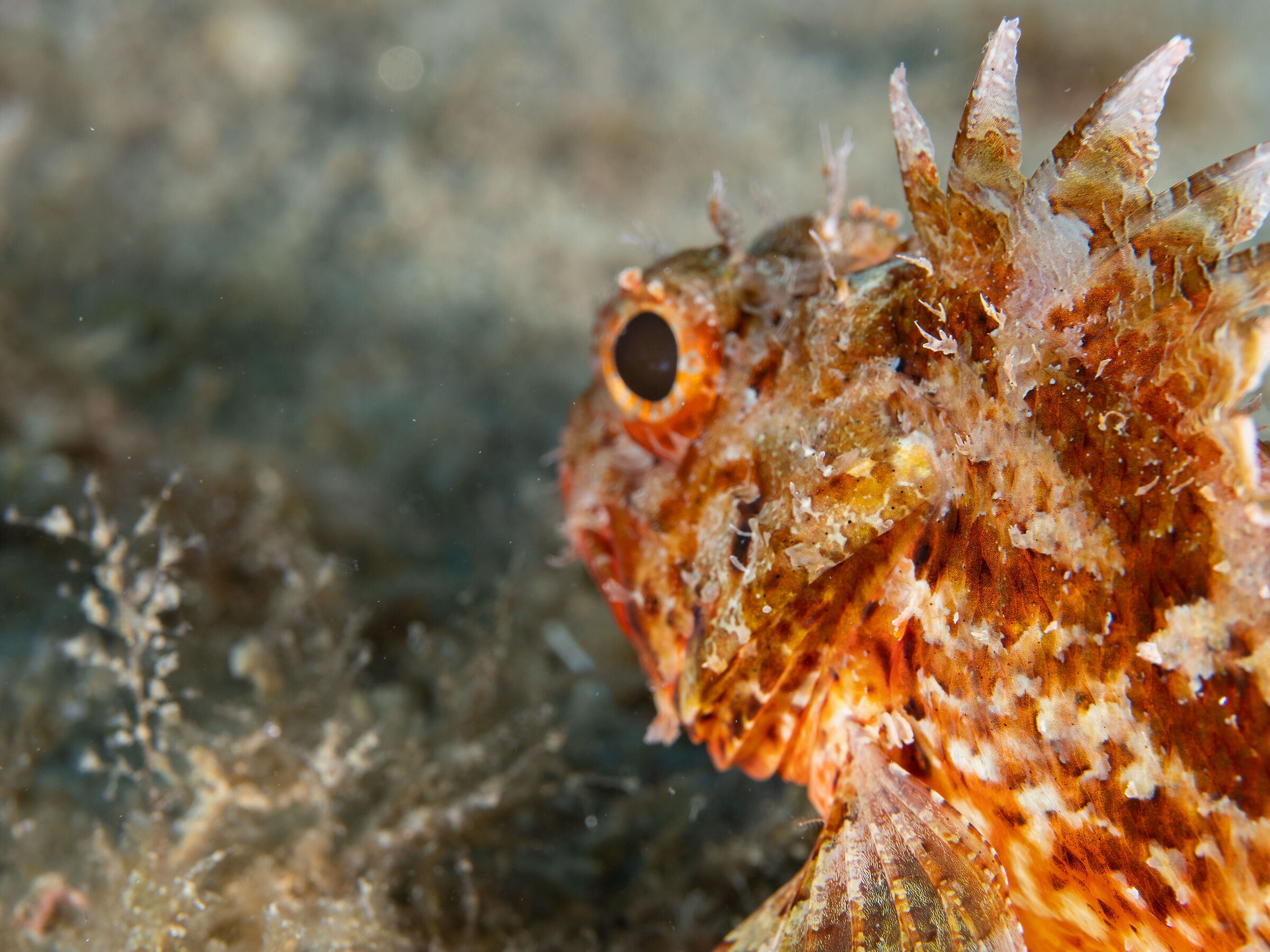 Lo sguardo che ti tradisce