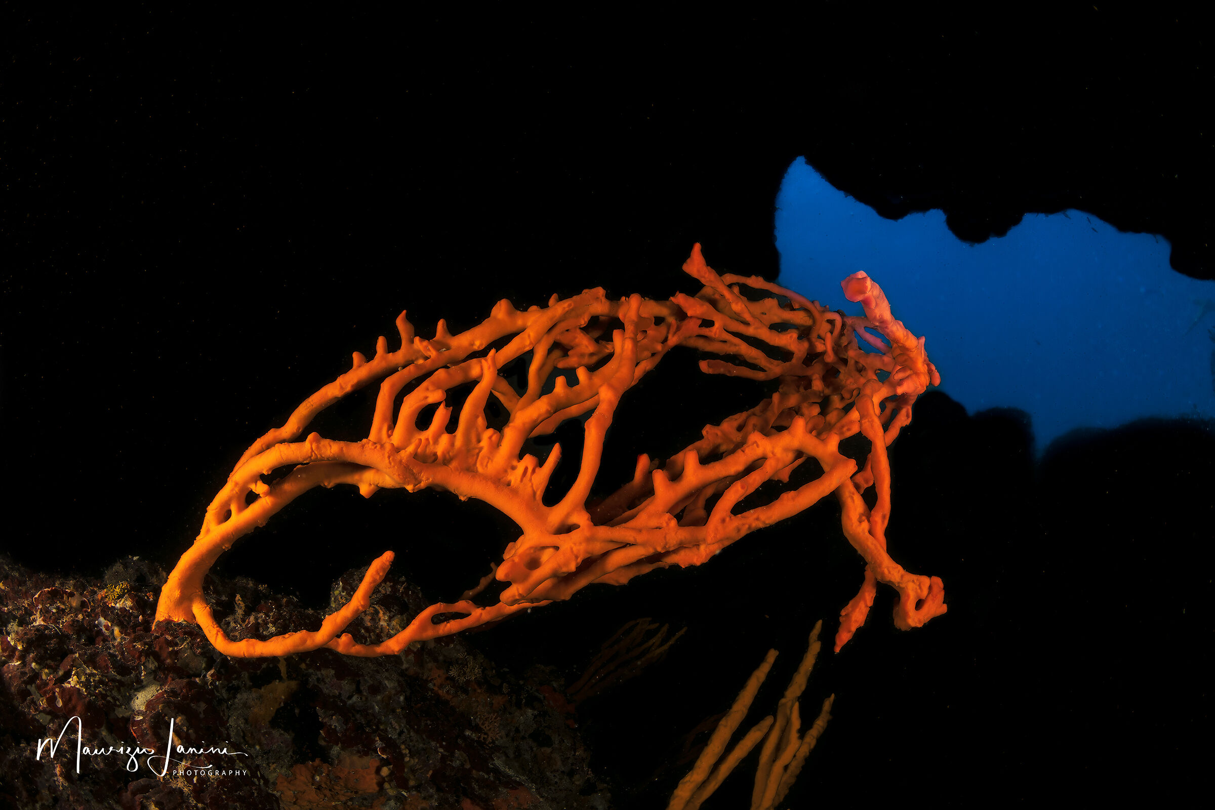 Meraviglie in una grotta