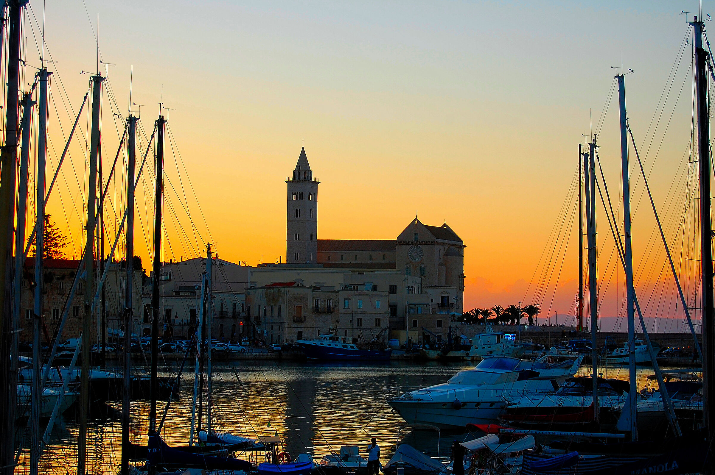 Trani: the Cathedral