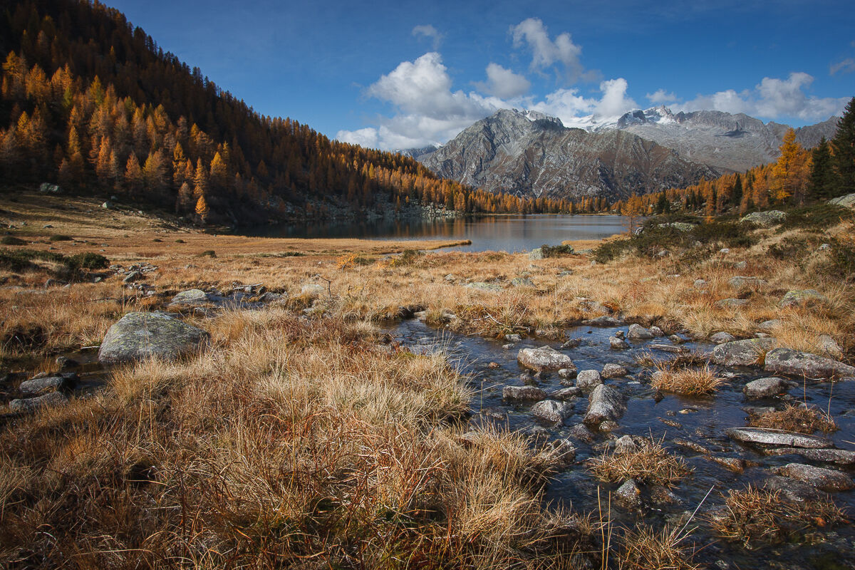 Autumn in the heart ...