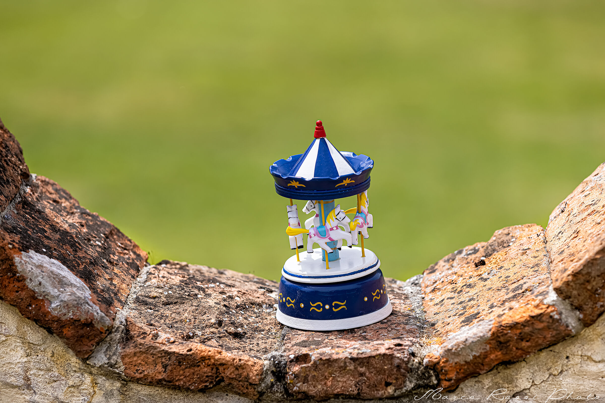 The Carousel of Life