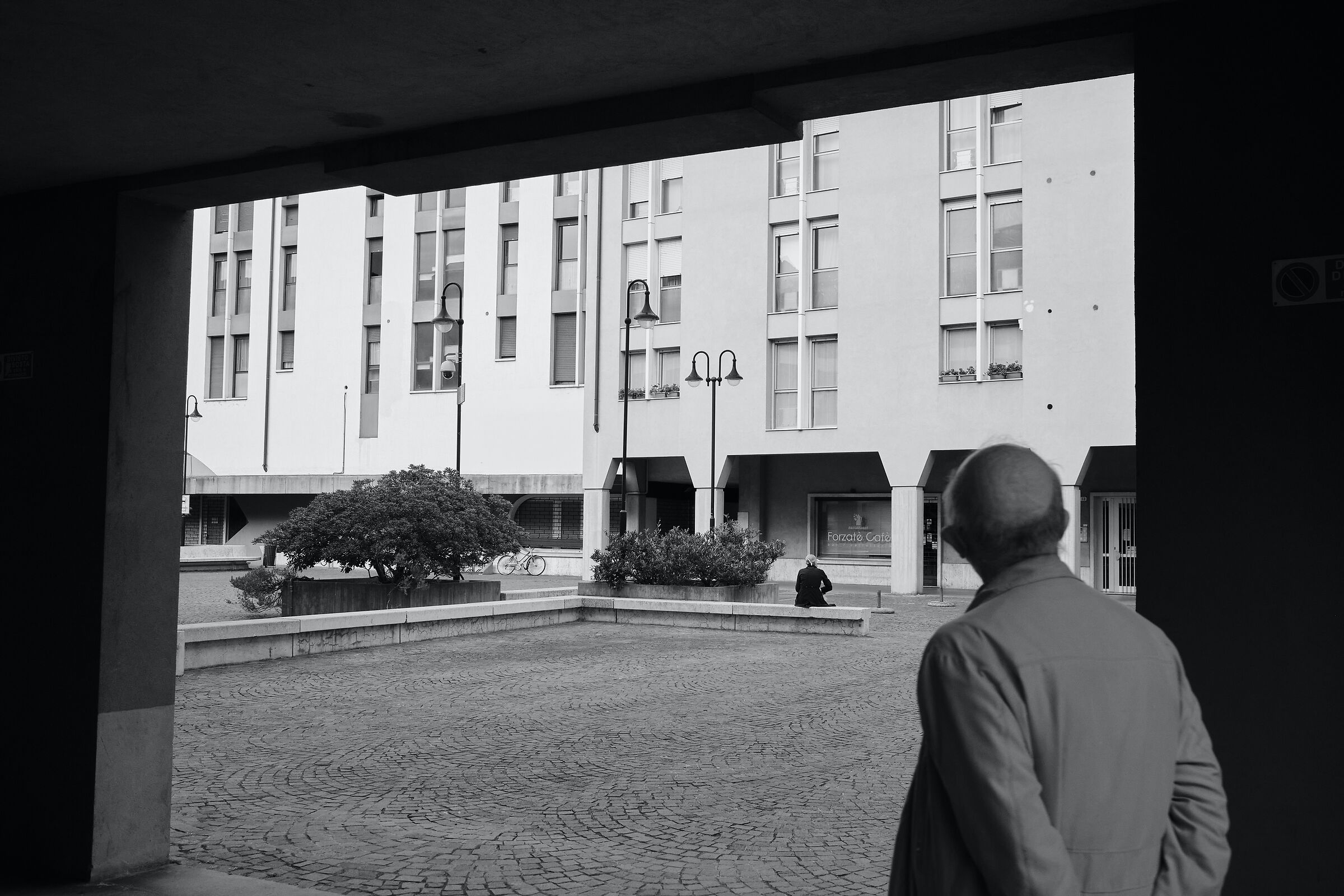 curiosity about beauty