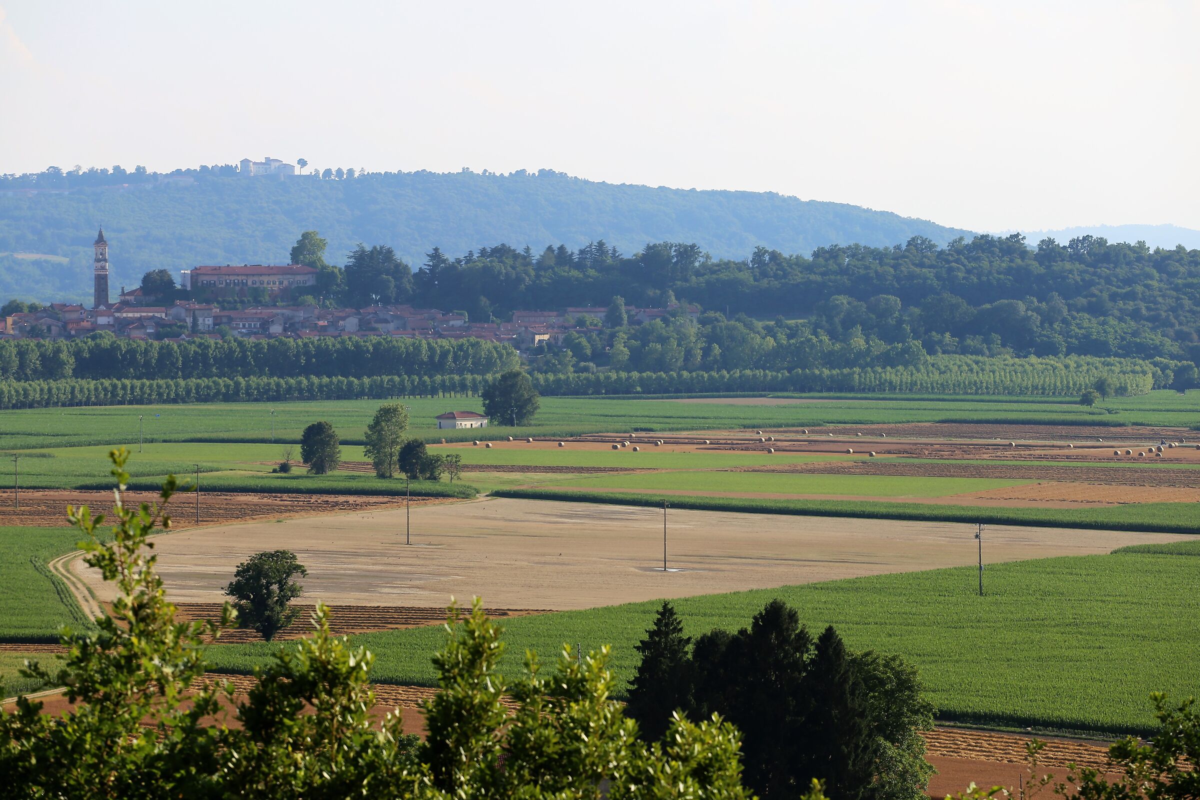 geometrie canavesane