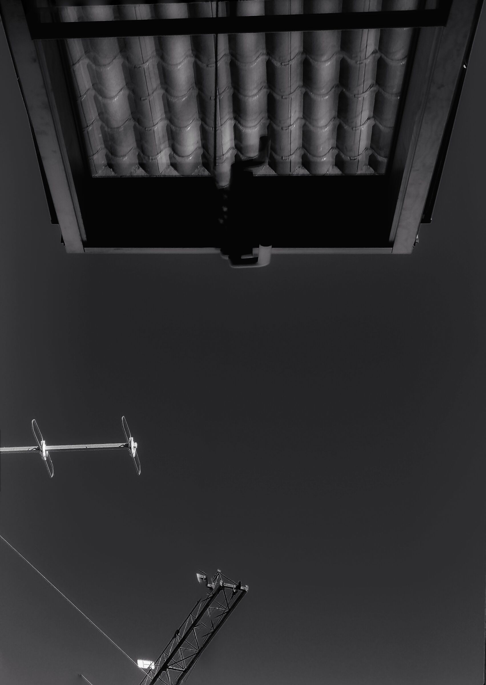 The window