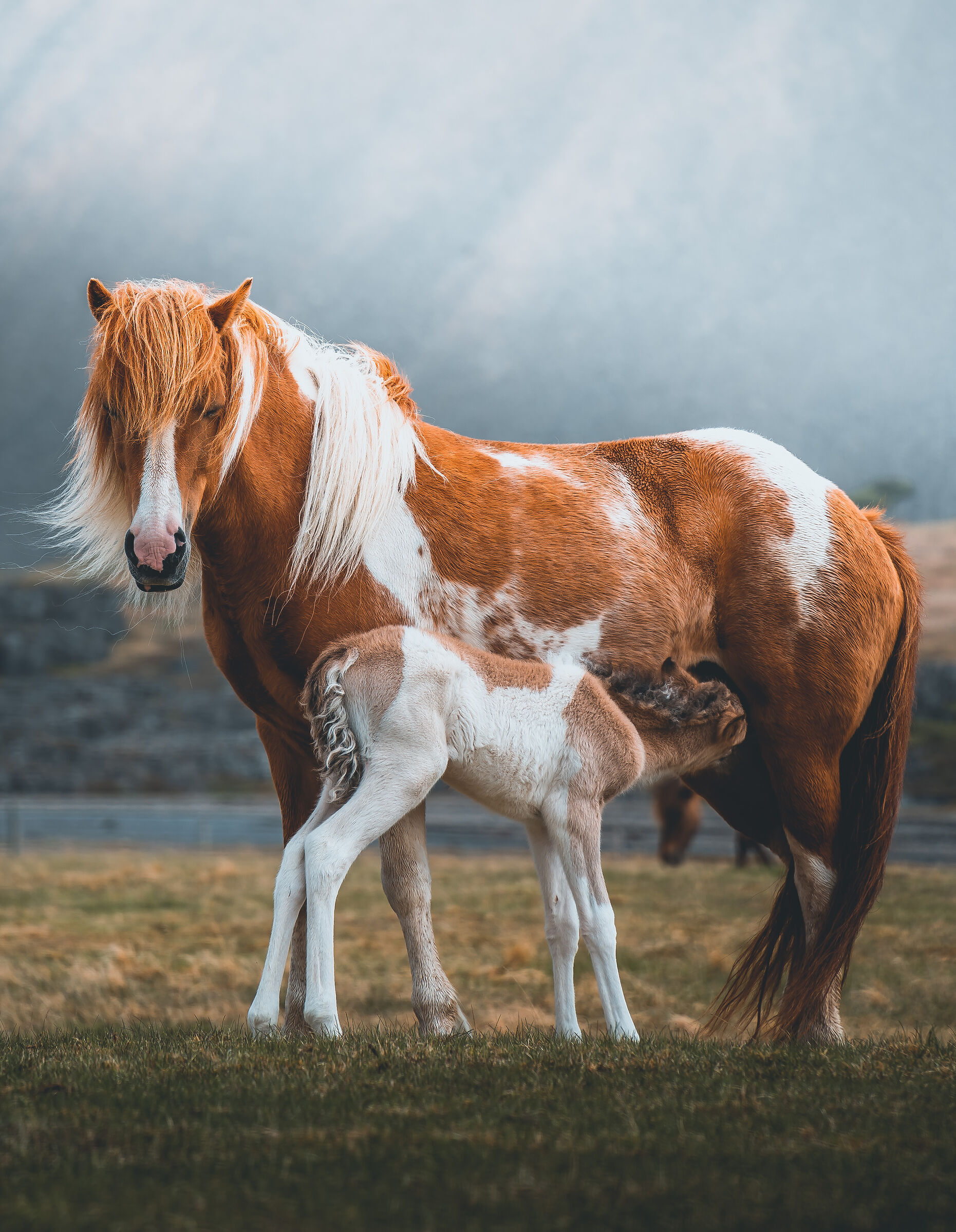 Il momento della pappa