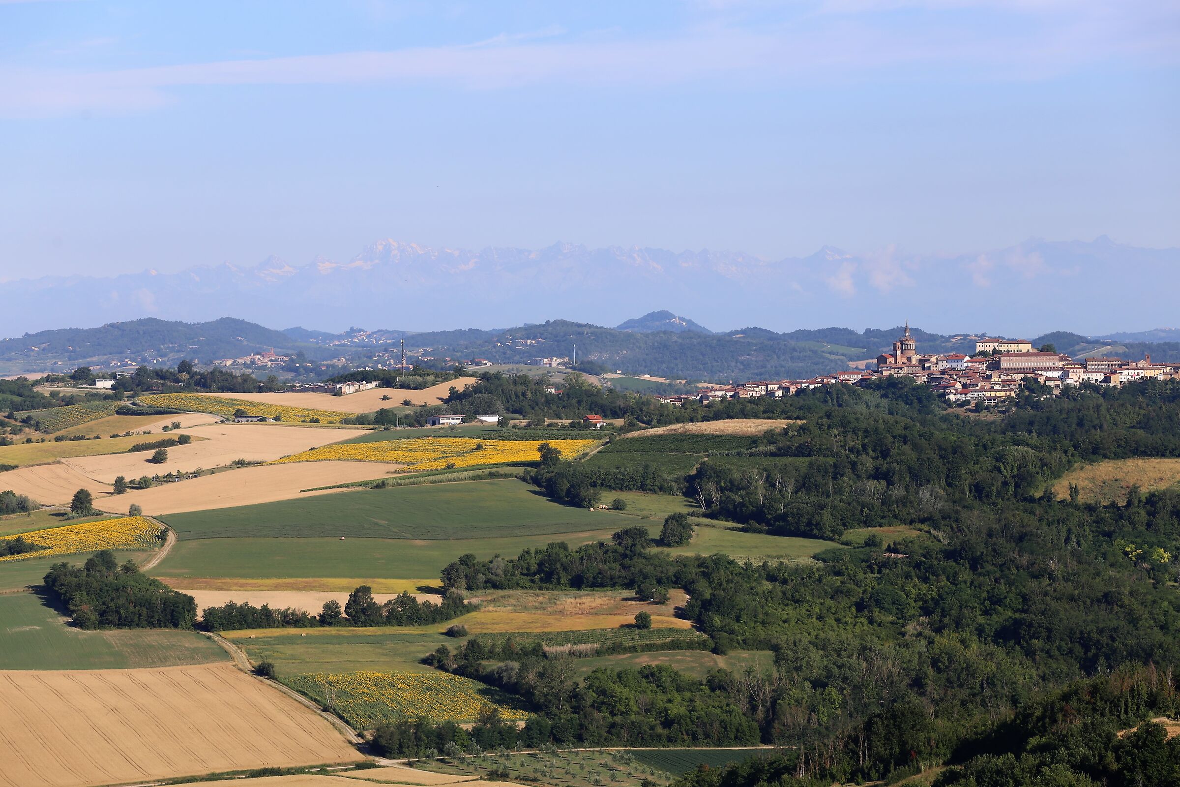 colline in ...giallo