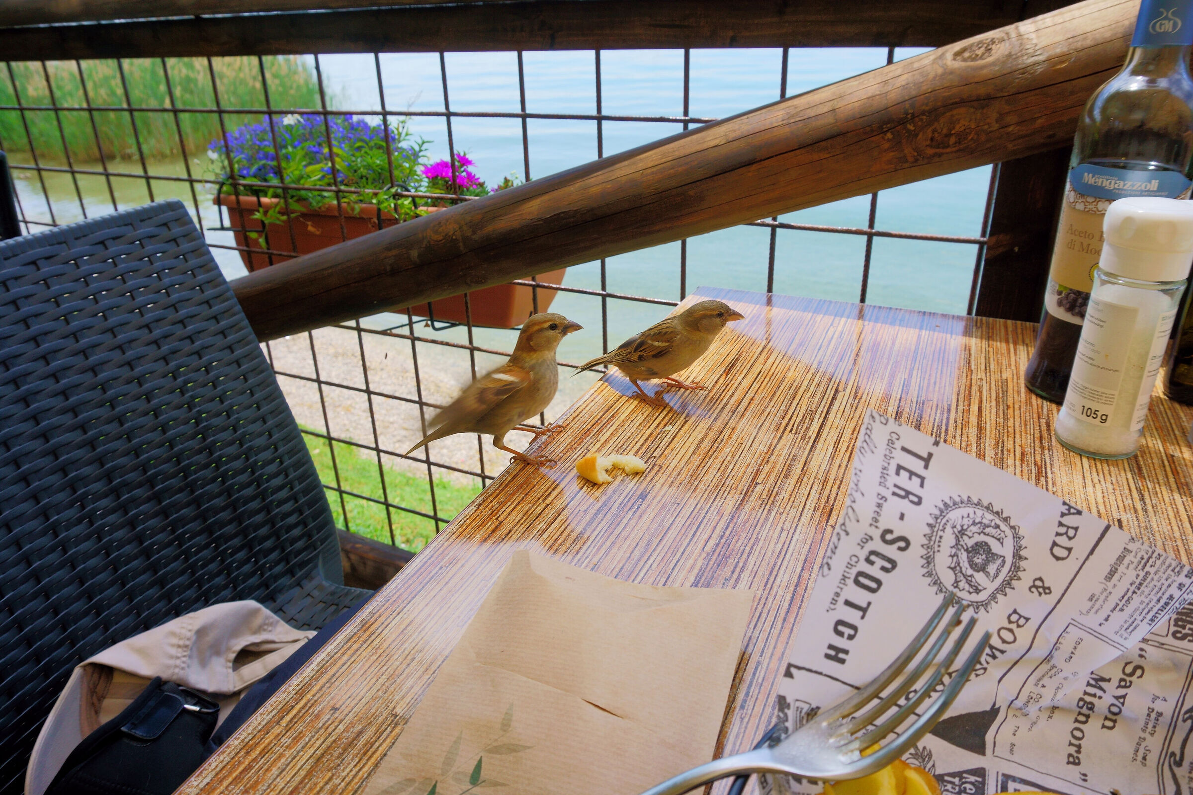 Indovina chi viene a cena