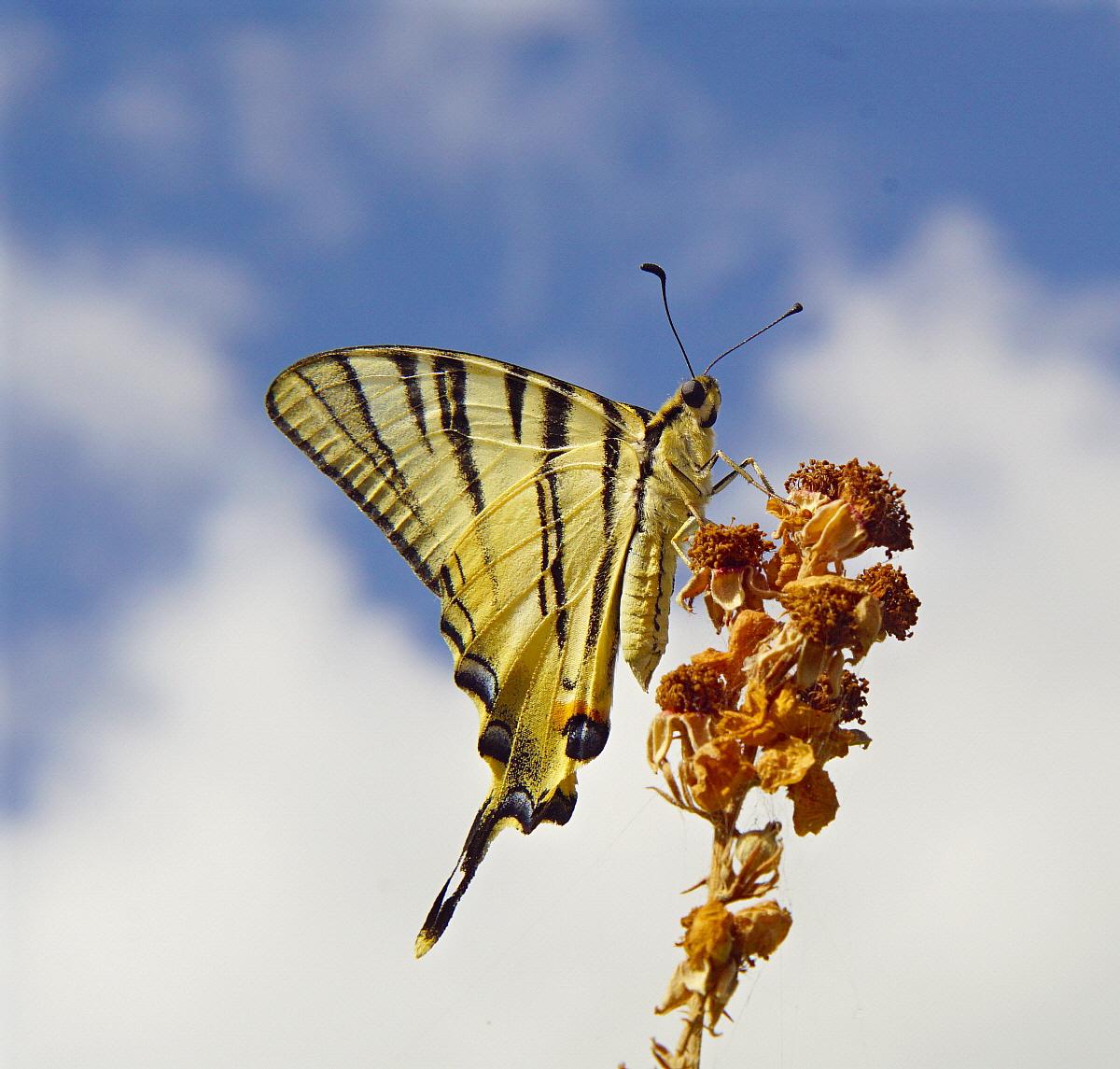 Postazione di controllo!