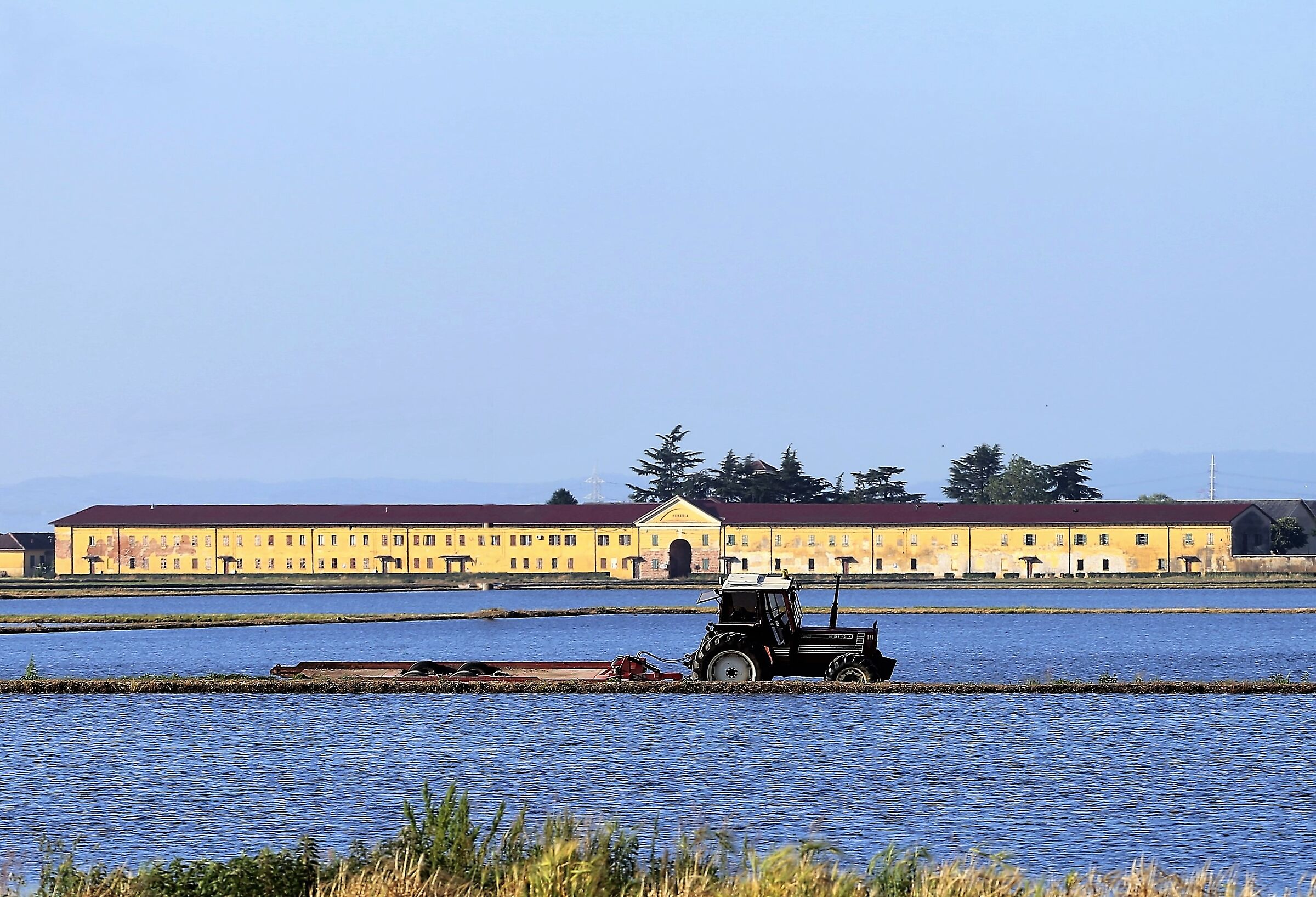 Risaie, Cascina Veneria (Riso amaro)