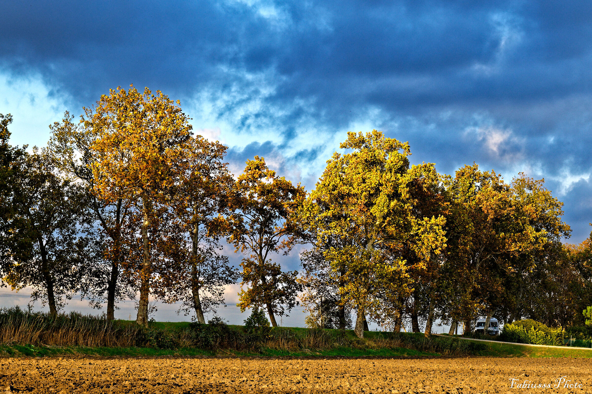Autumn colors... almost winter