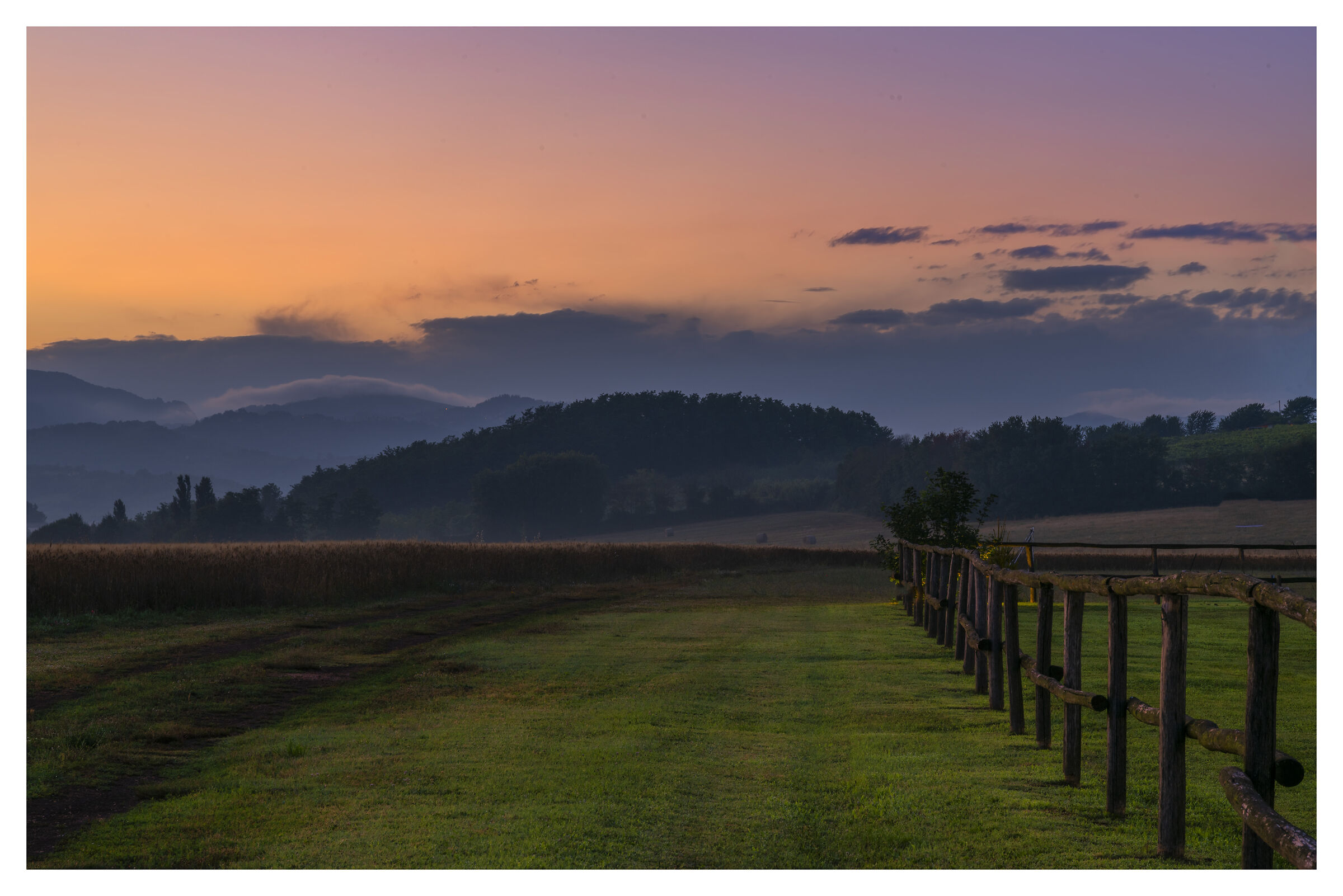 Wheat fields at sunset