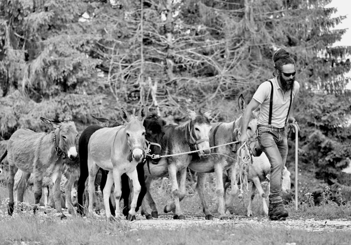 Pinocchio Lucignolo e Mangiafuoco