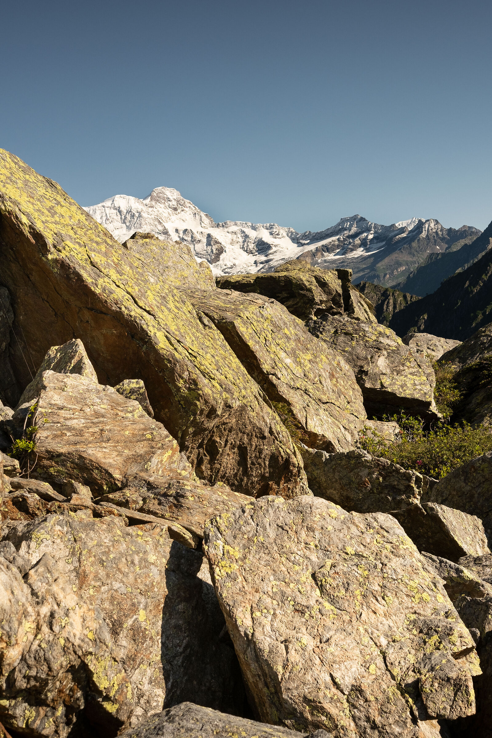 Monte Rosa dalla cresta per la punta Sivella