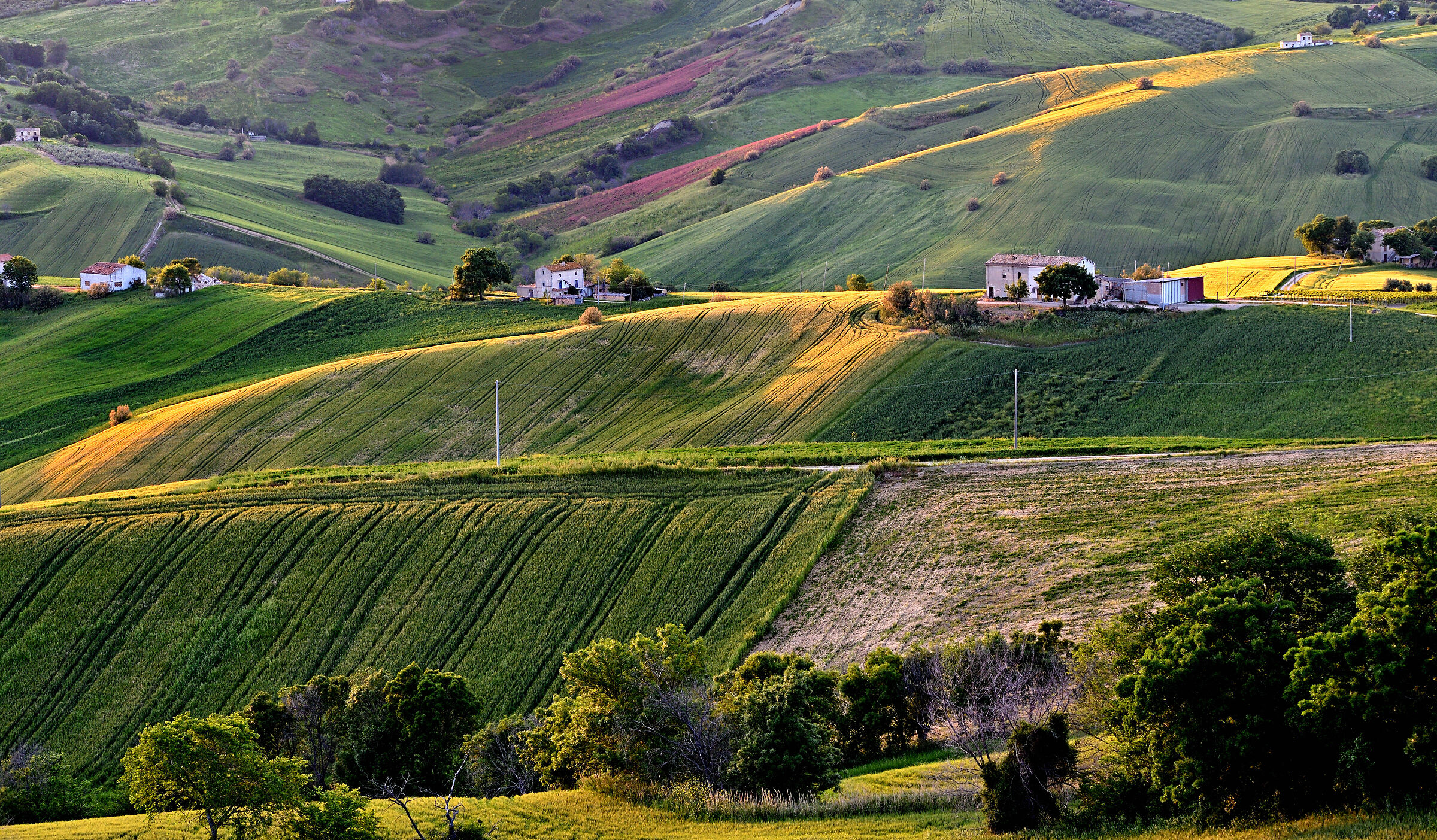 Touched by the light