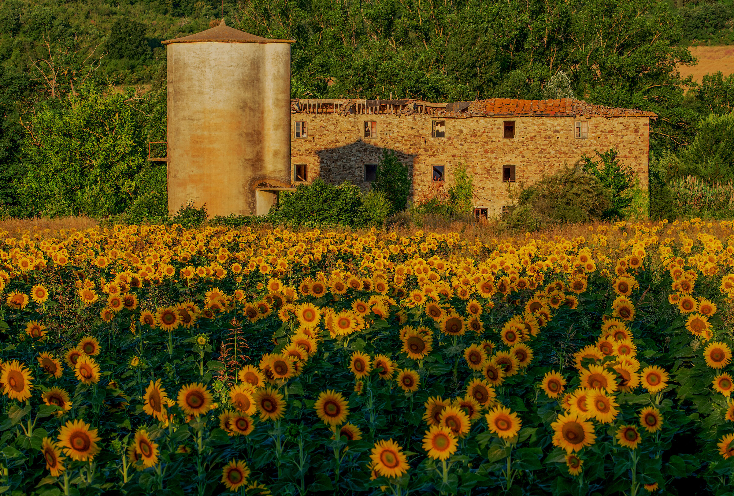 la prima luce