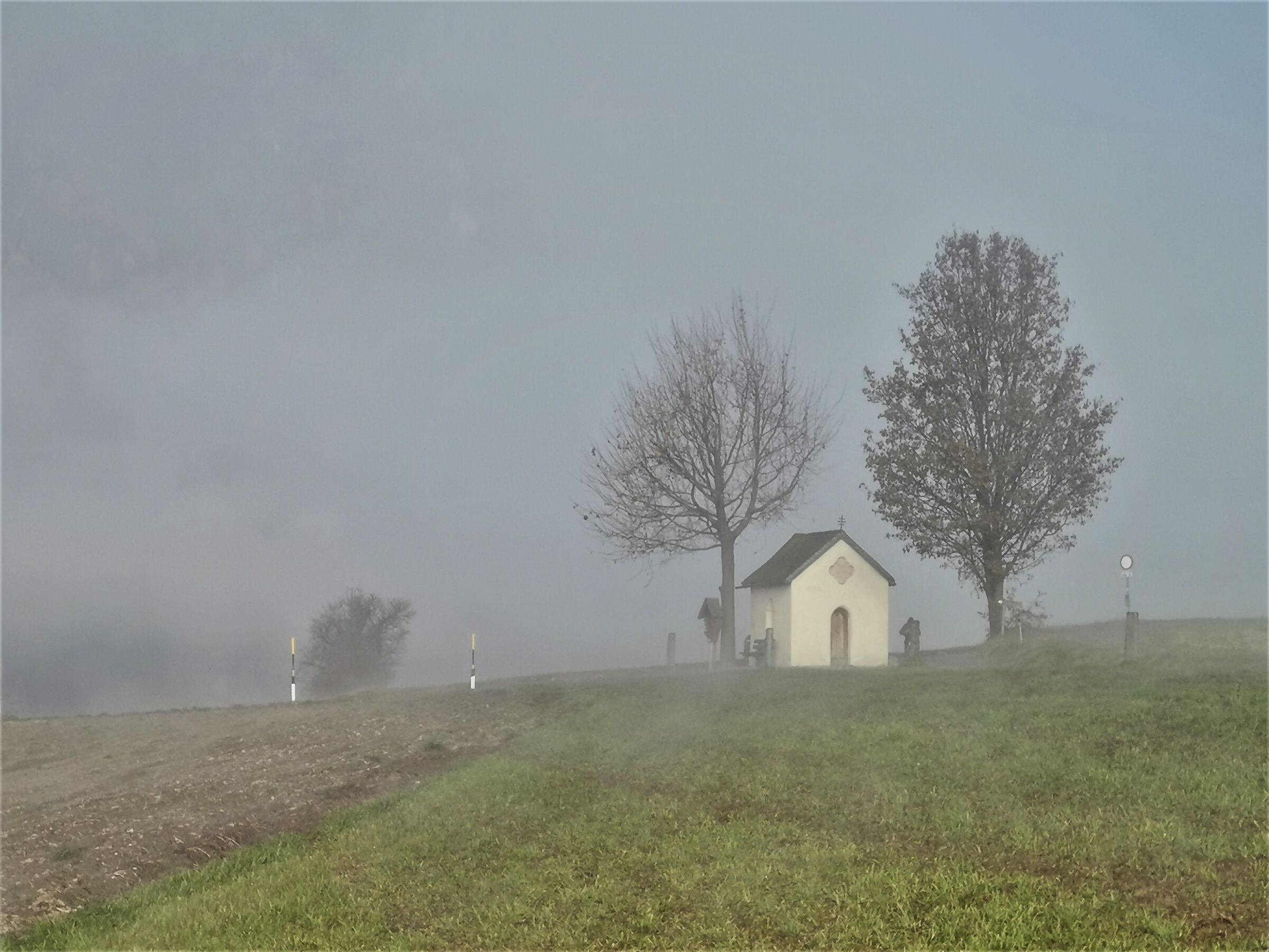 La prima nebbia