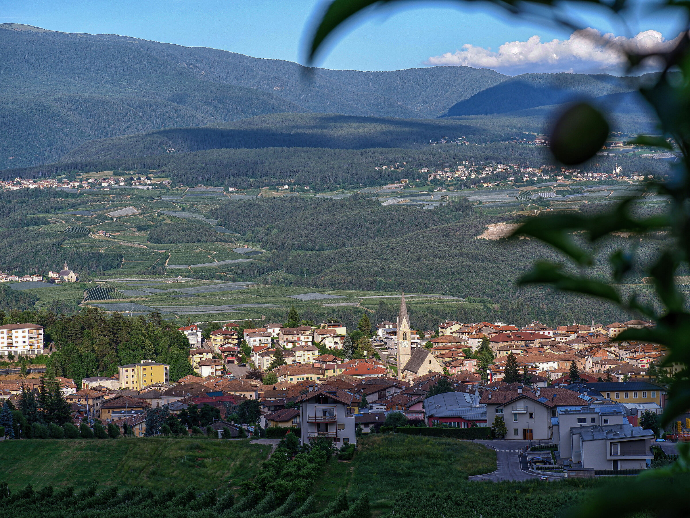 Melinda non è ancora pronta..
