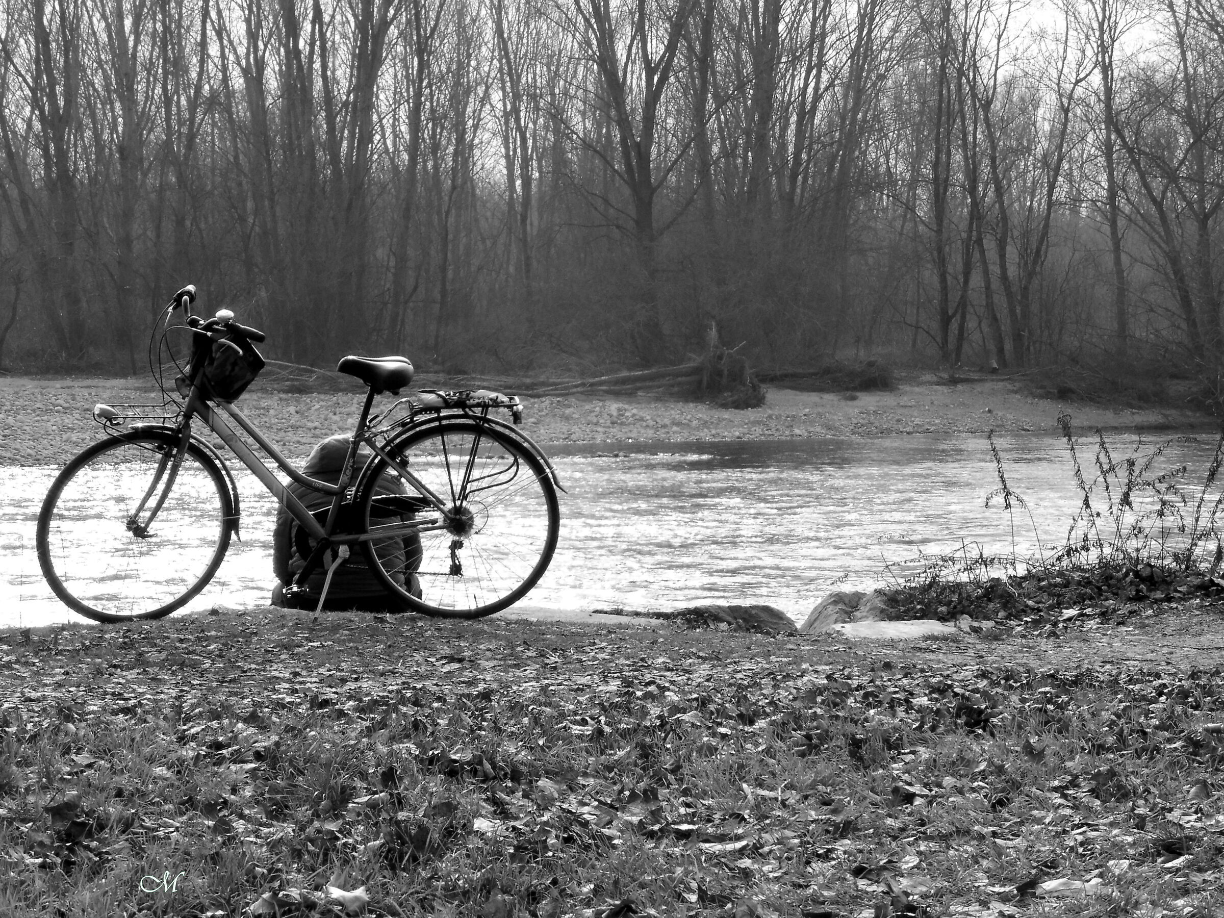 il velocipide